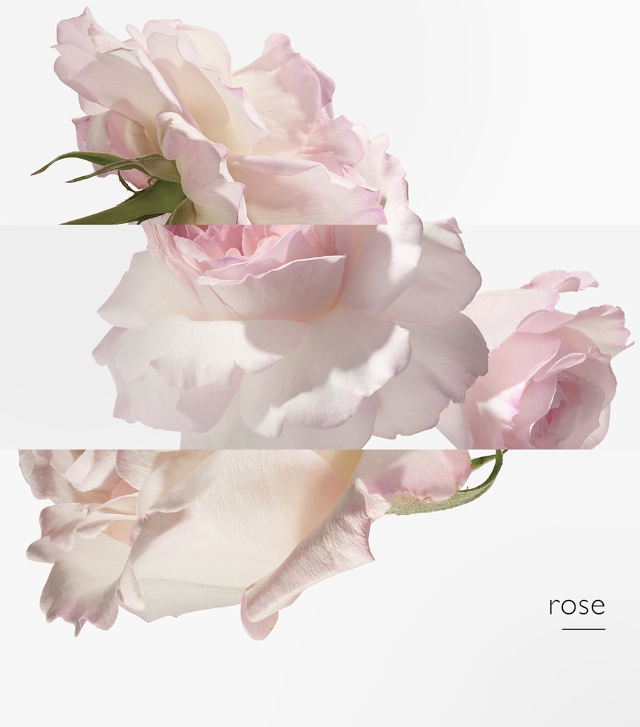 Eau de Pamplemousse Rose Eau de Toilette (100ml) NO COLOUR Image 4