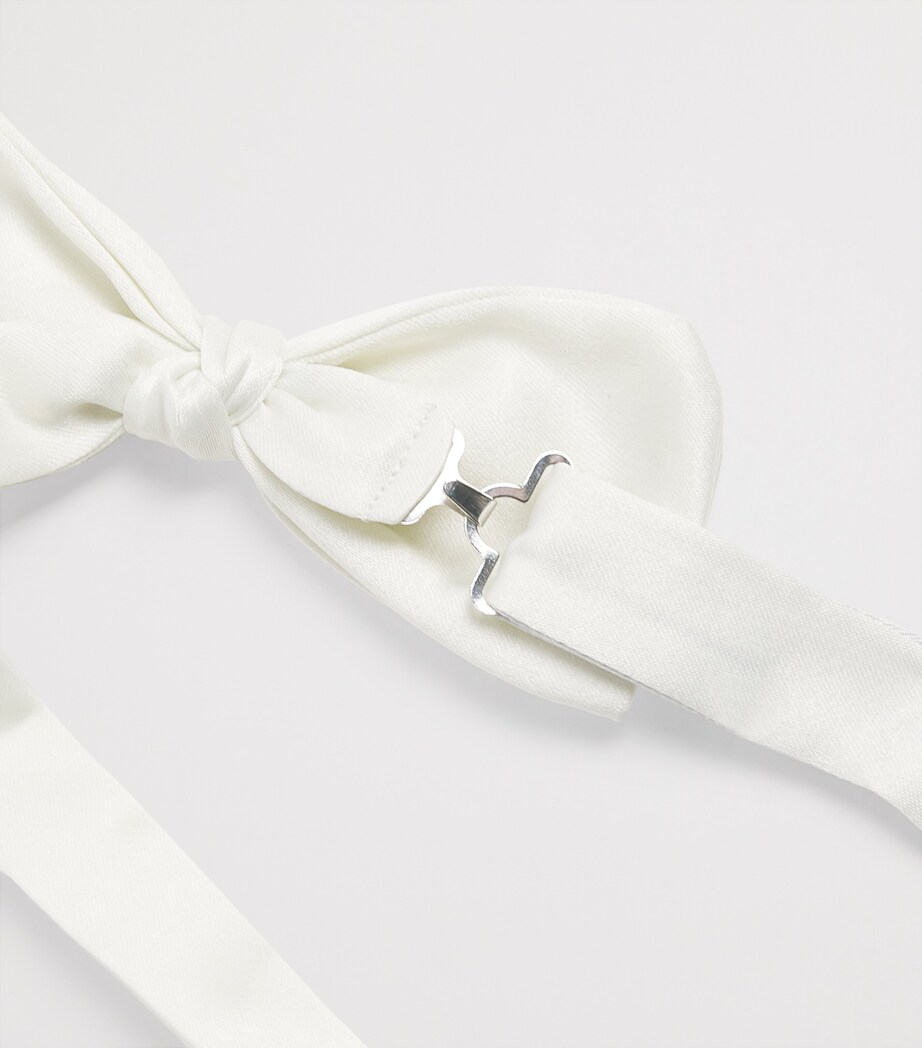 Pal Zileri Bow Tie Image 3