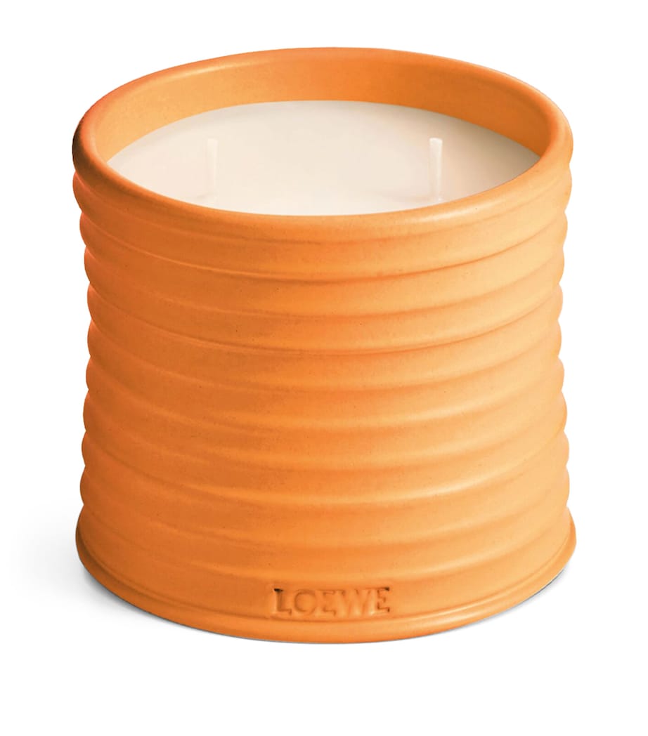 Medium Orange Blossom Candle (1.5kg) NO COLOUR Image 1