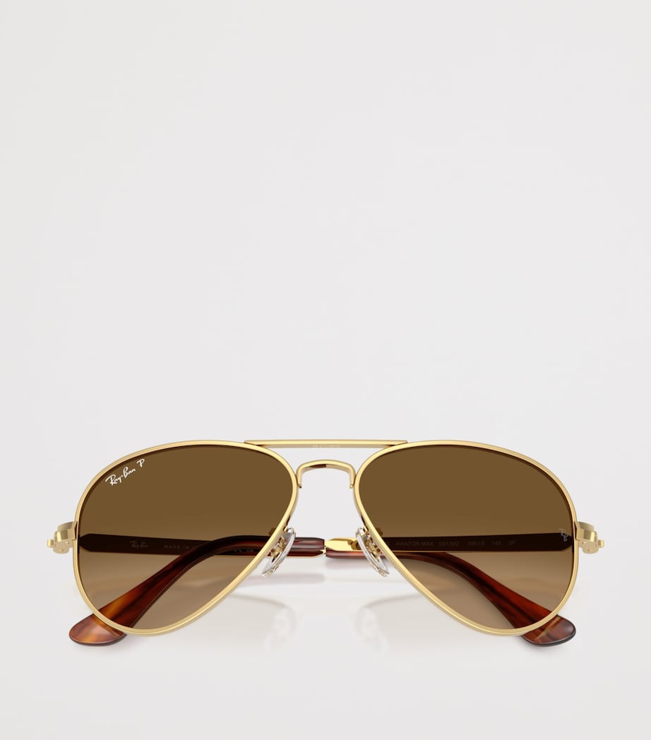 RB3925 Aviator Max Sunglasses 001/M2 Image 5