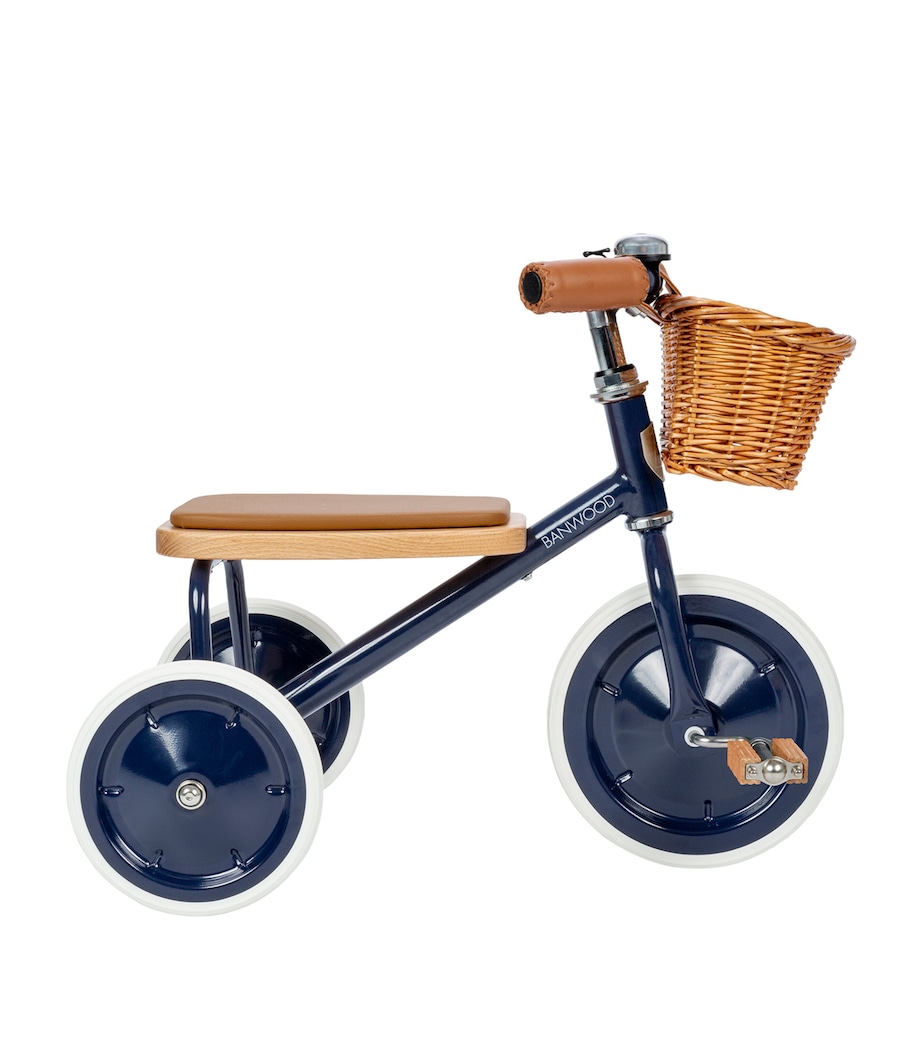 Vintage Trike MULTI Image 2