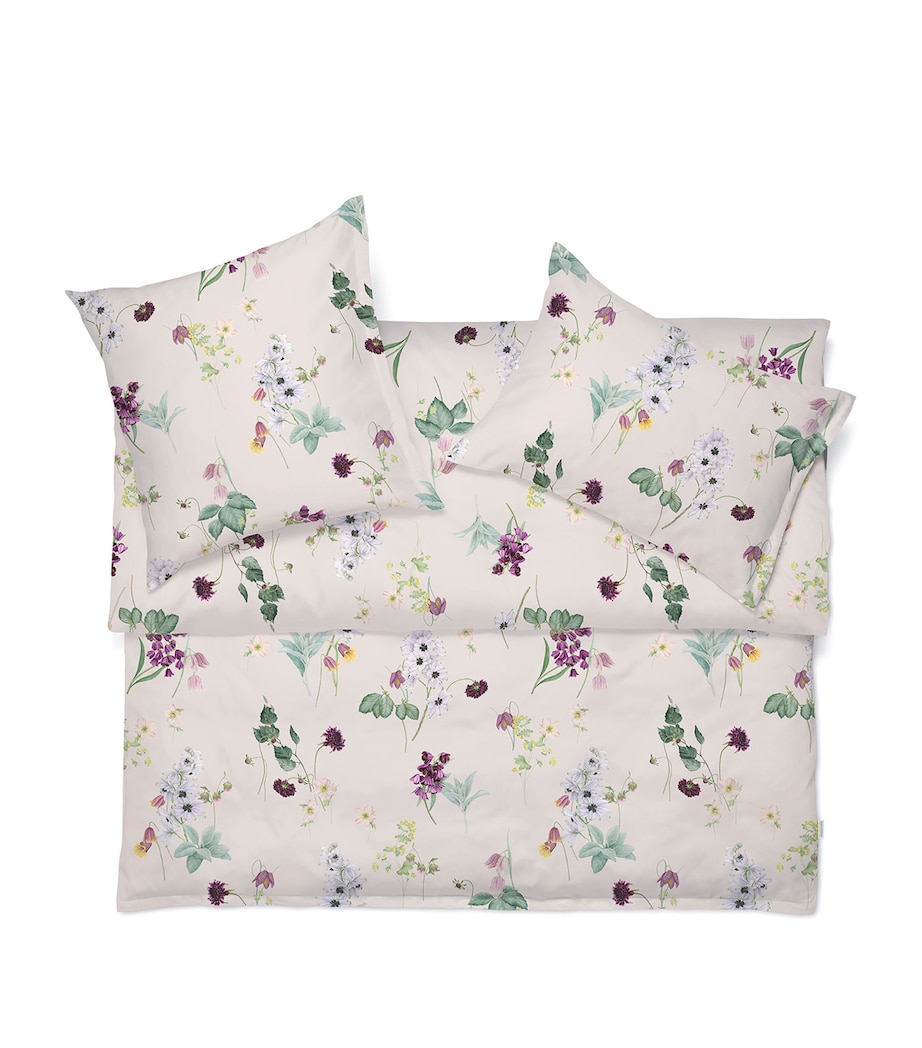 Schlossberg Freya Noblesse Oxford Pillowcase (50cm x 75cm) Beige Image 1