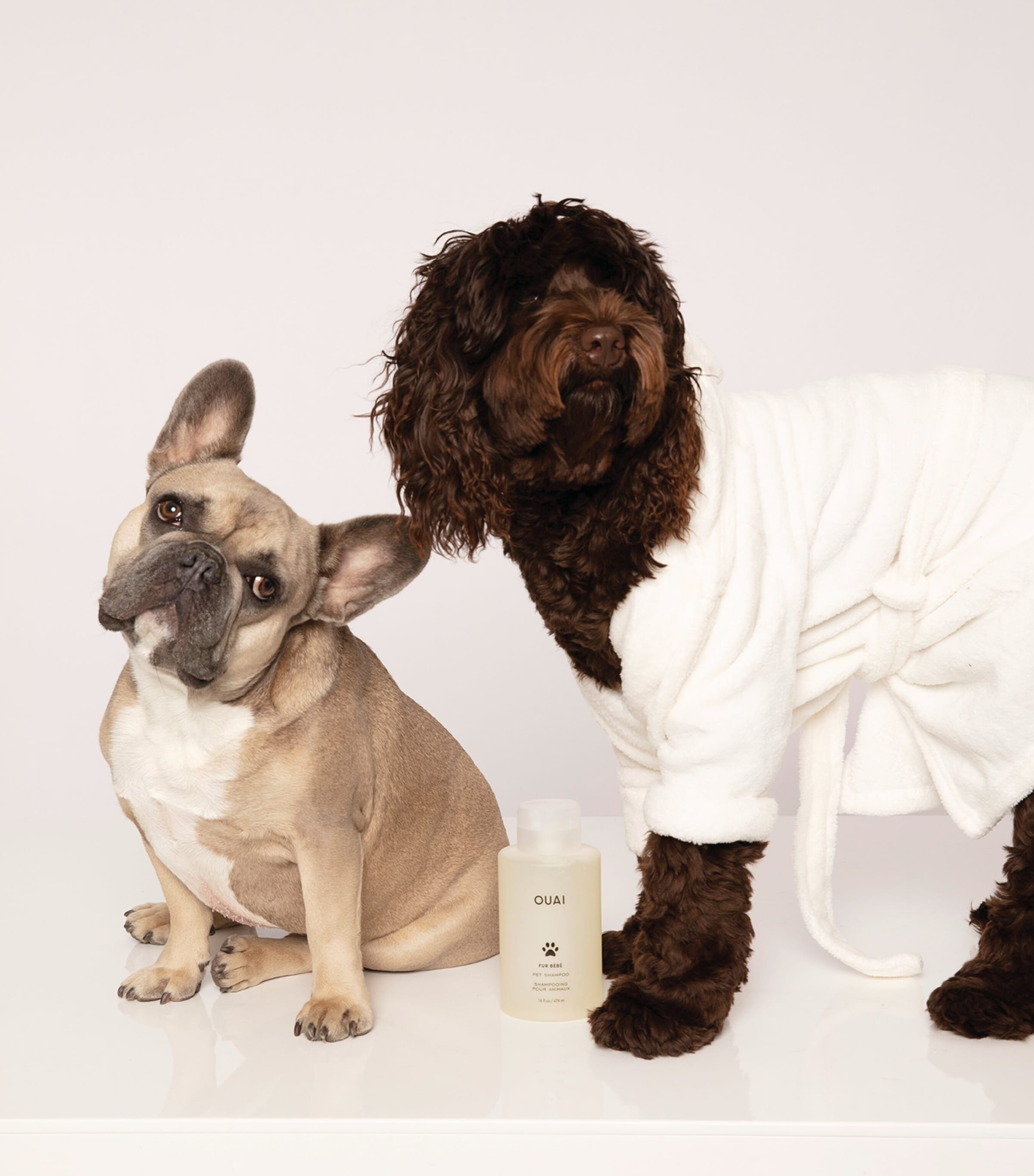 Ouai Fur Bébé Pet Shampoo (474ml) Image 2