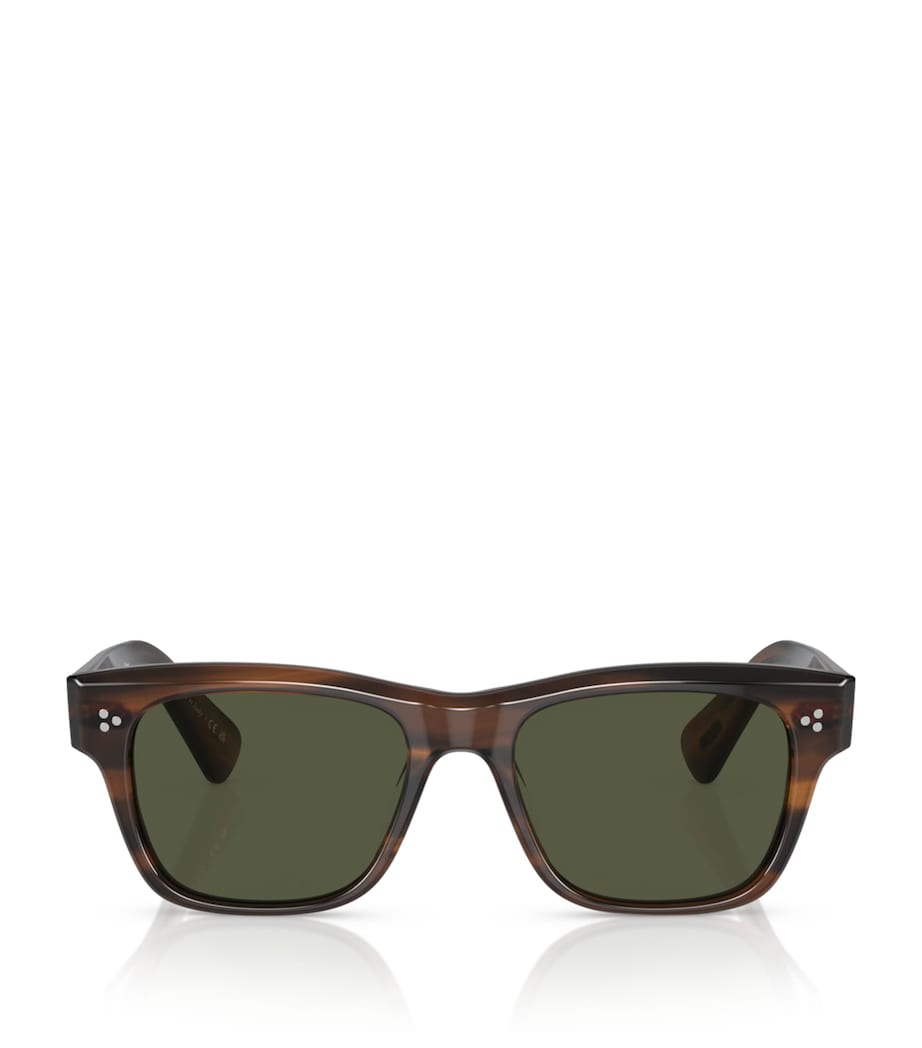 Oliver Peoples Acetate Birell Sun Sunglasses Image 1