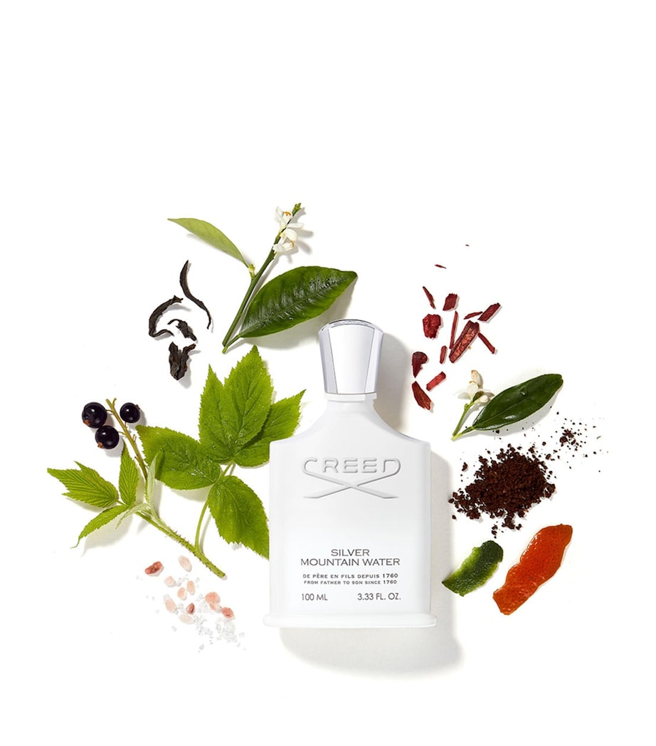 Silver Mountain Water Eau de Parfum (30ml) NO COLOUR Image 2