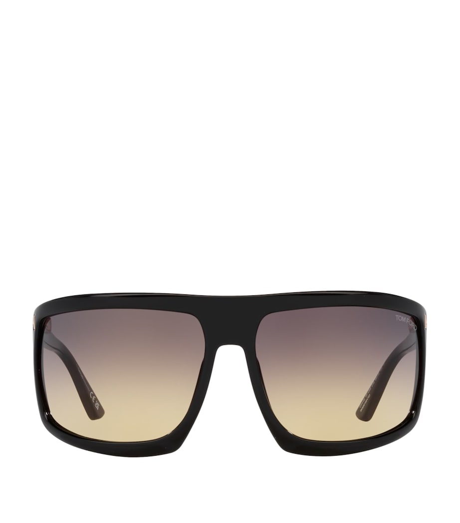 Injected 0TR001675 Sunglasses 1100L3 Image 1