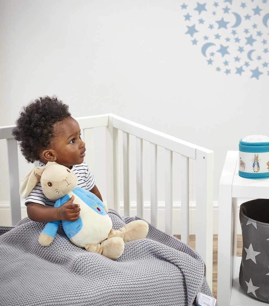 Peter Rabbit Bedtime Cuddles Set (36cm) MULTI Image 2