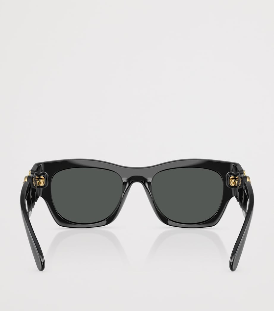 Injected VE4479U Square Sunglasses GB1/87 Image 4