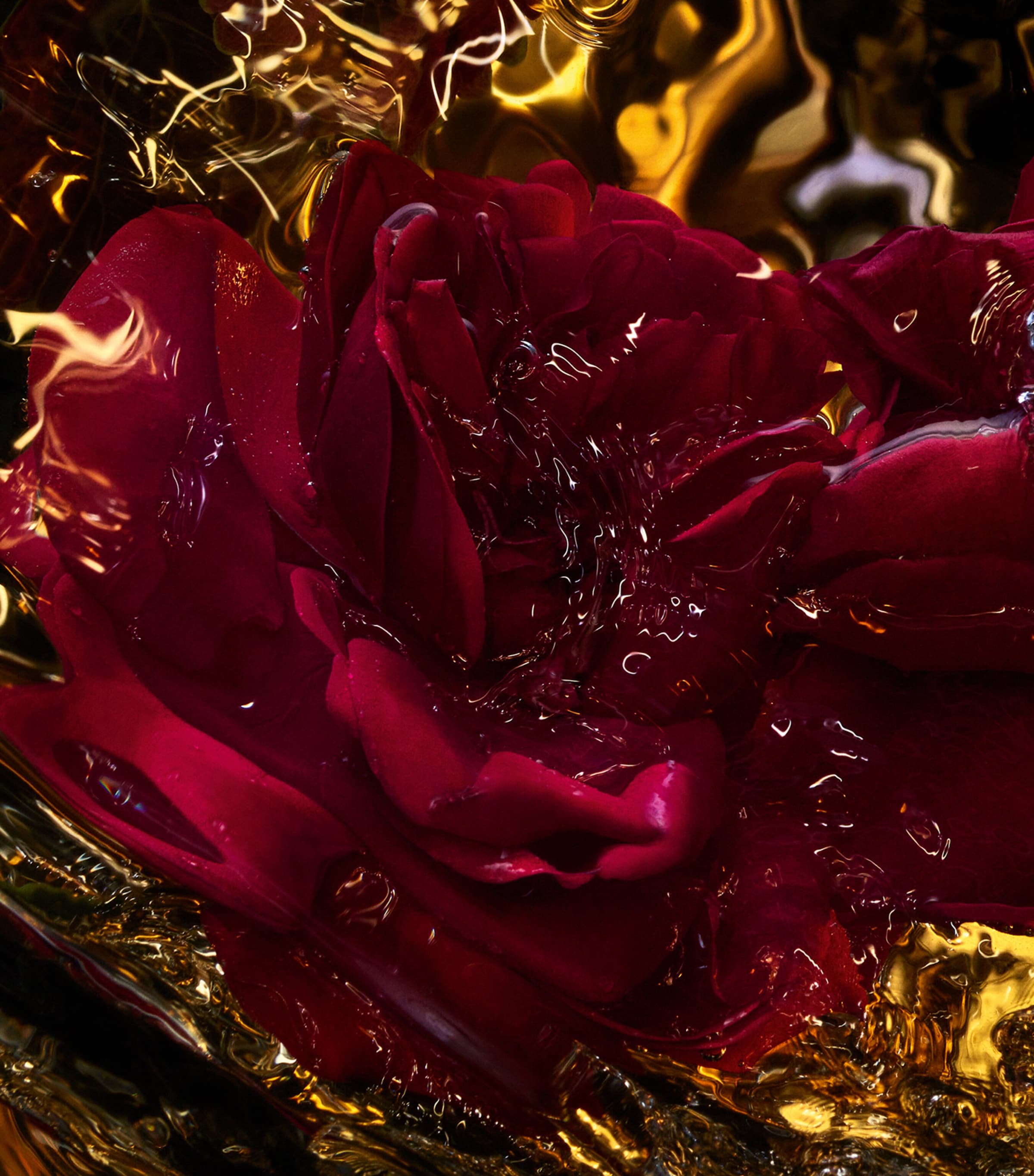 Absolus Allegoria Rose Amira Eau de Parfum (125ml) NO COLOUR Image 2