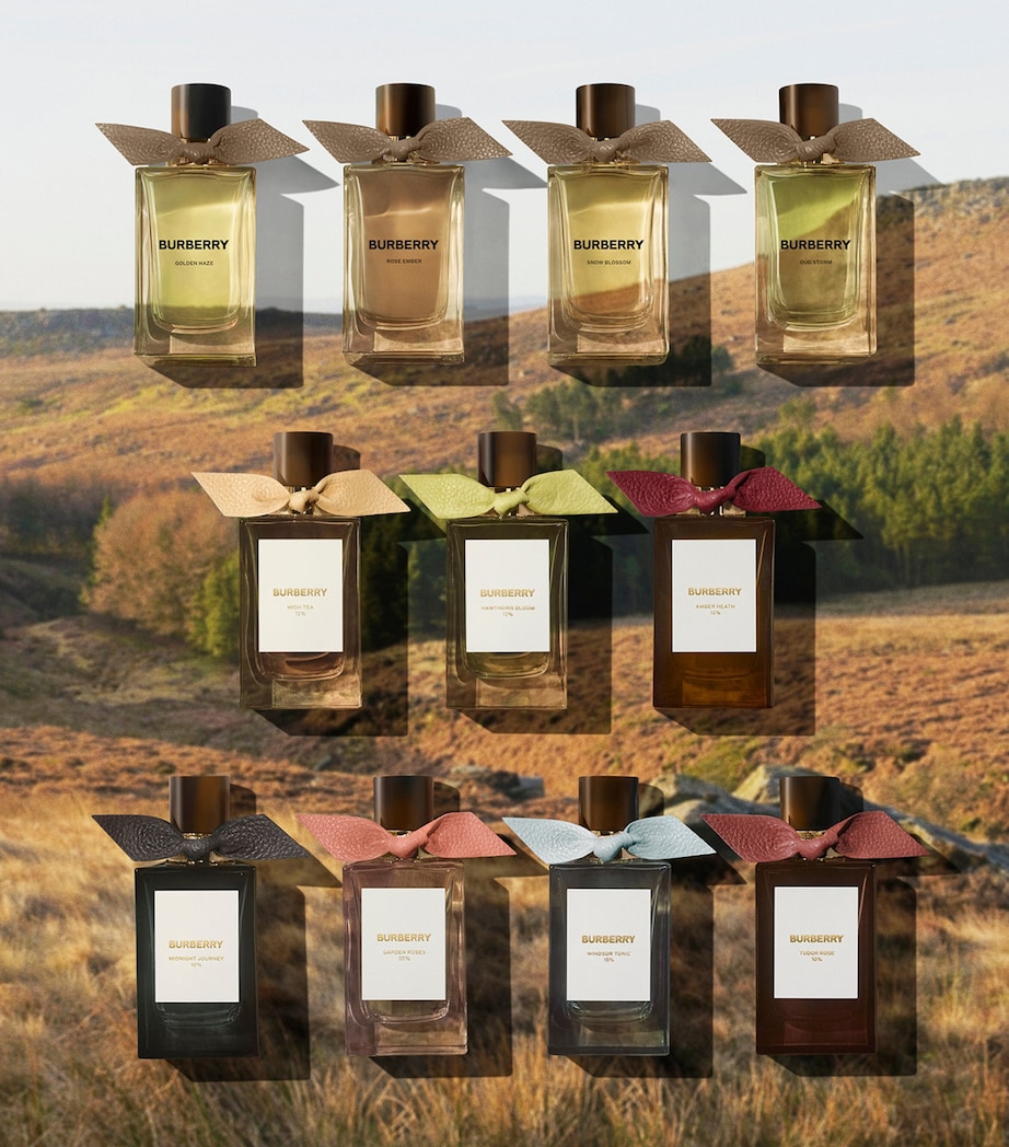 Amber Heath Eau de Parfum (100ml) NO COLOUR Image 3