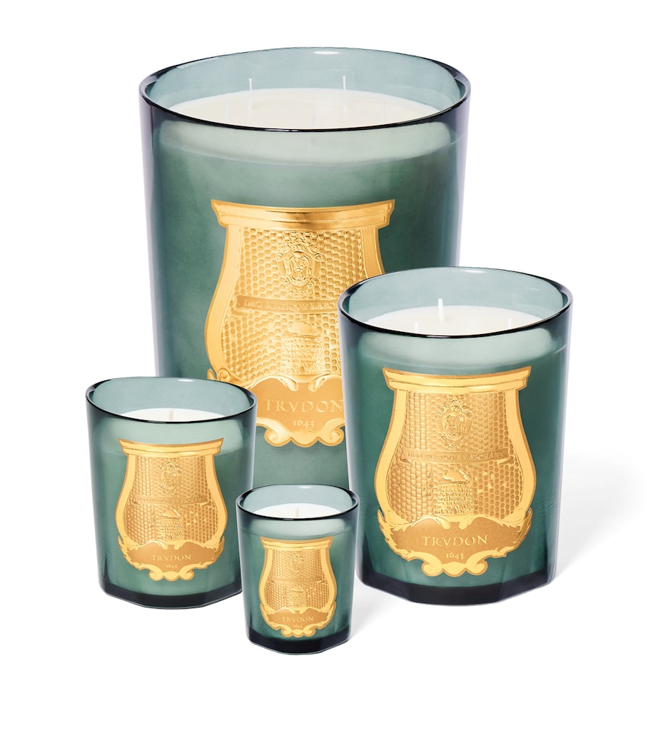 Trudon Figuerie Scented Candle (2.8kg) Blue Image 3
