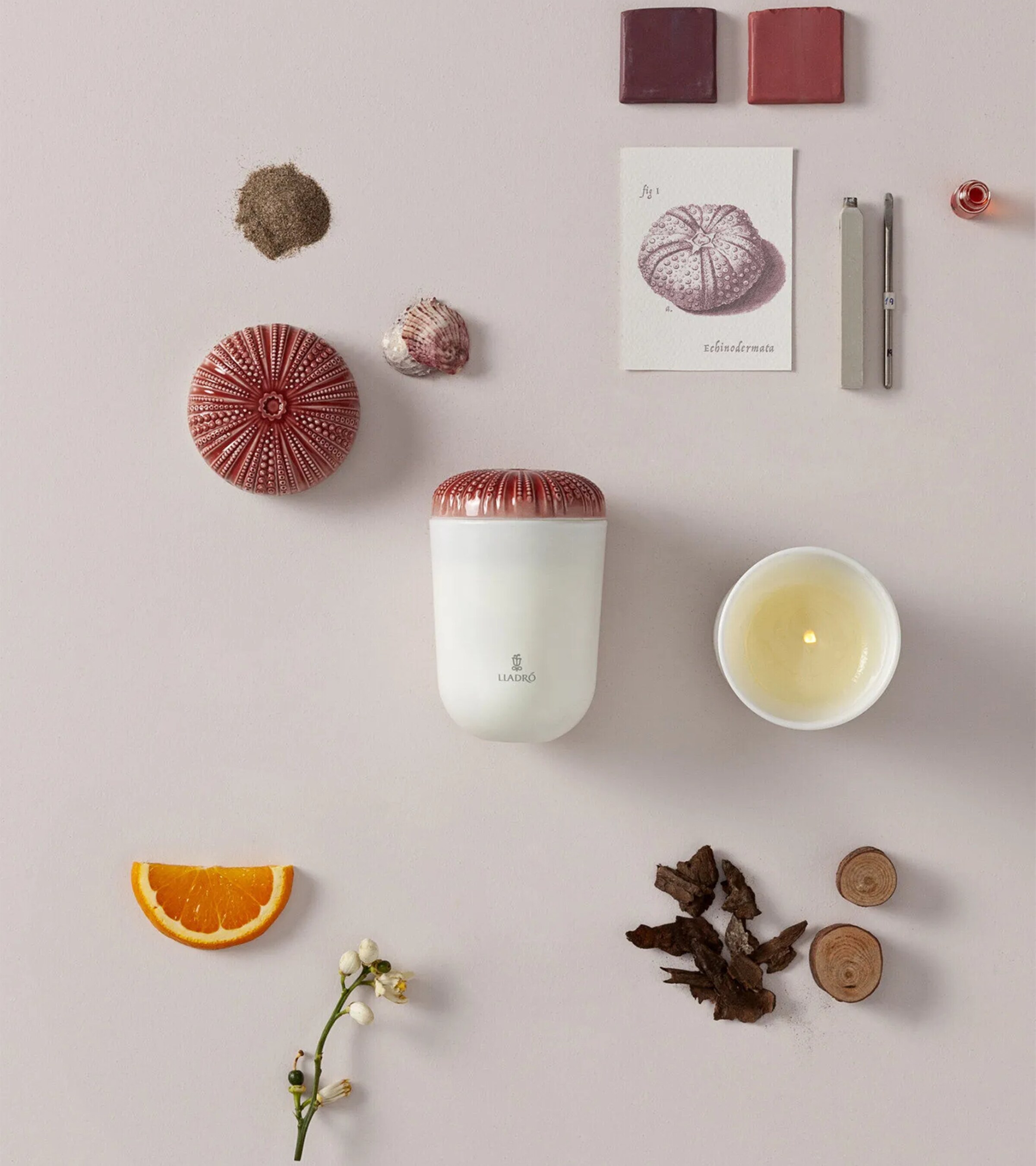 Mediterranean Beach Echoes of Nature Candle (200g) WHITE / RED Image 3