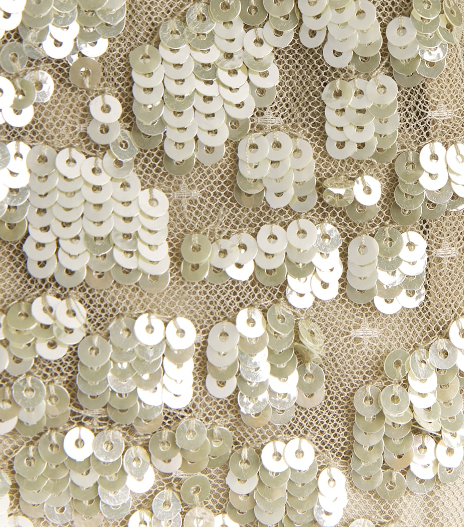 Anais Sequin Gown ALOE Image 5