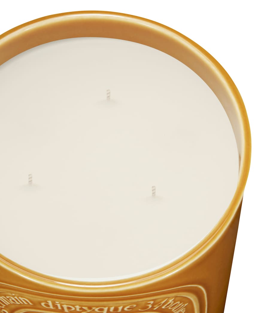 Ambre Candle (600g) NO COLOUR Image 2