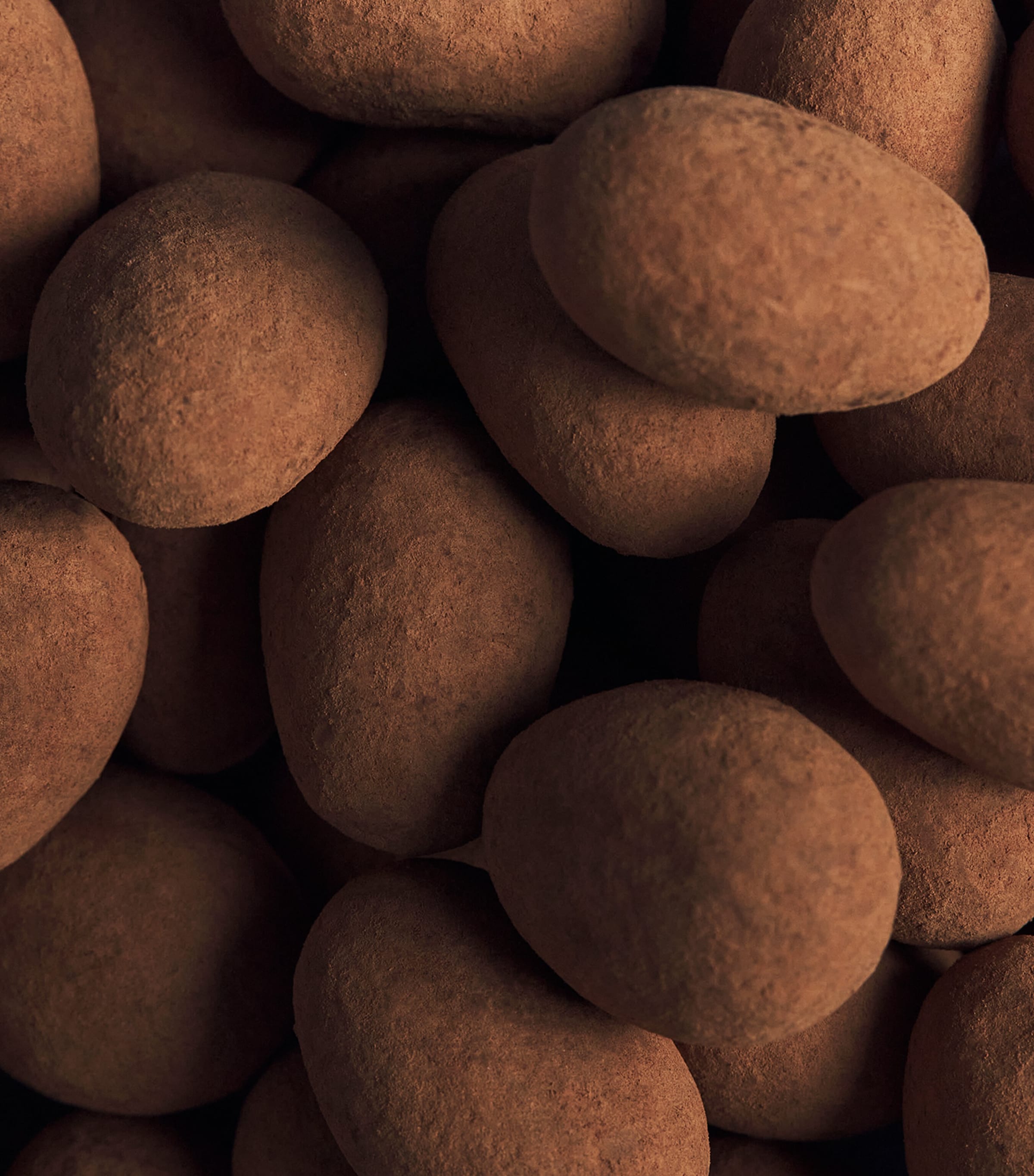 Harrods Cocoa-Dusted Almonds (1.1kg) Image 3