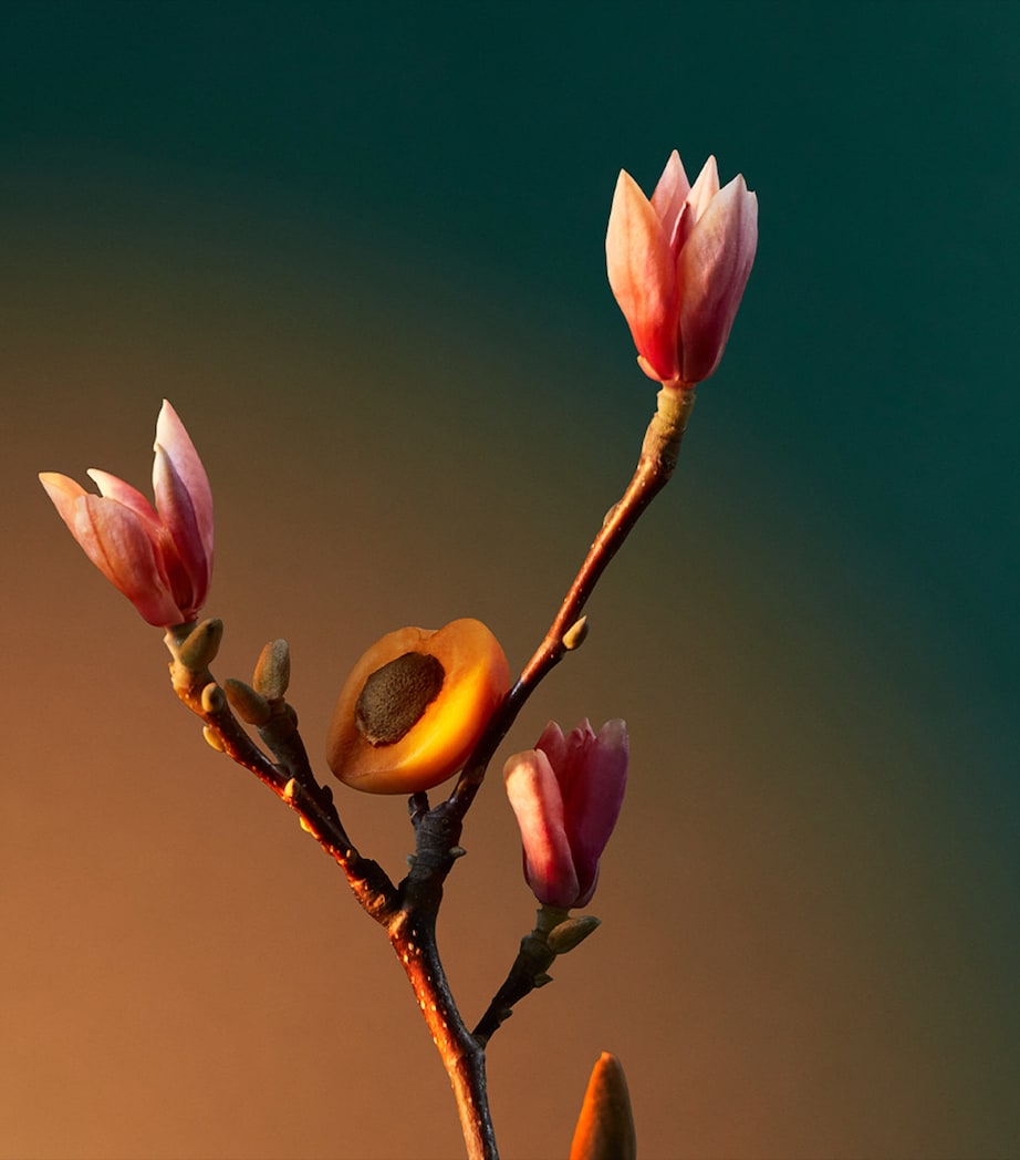 Vra Vra Vroom Eau de Parfum (100ml) NO COLOUR Image 5