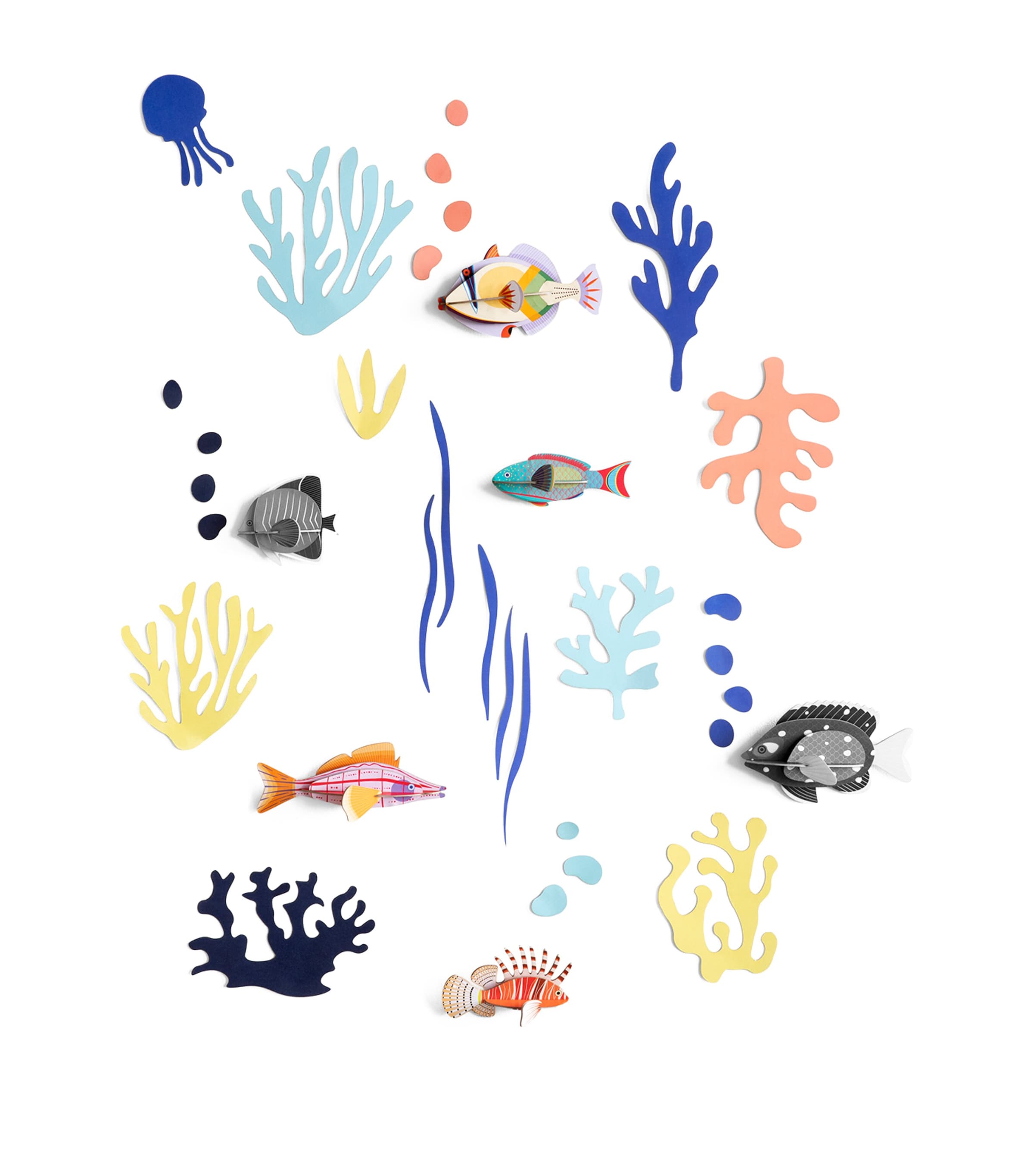 Studio ROOF Fish Hobbyist Kit Image 2