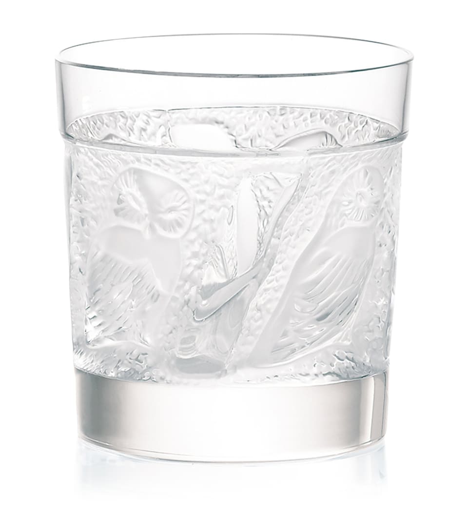 Lalique Owl Whisky Tumbler (200ml) Incolore
