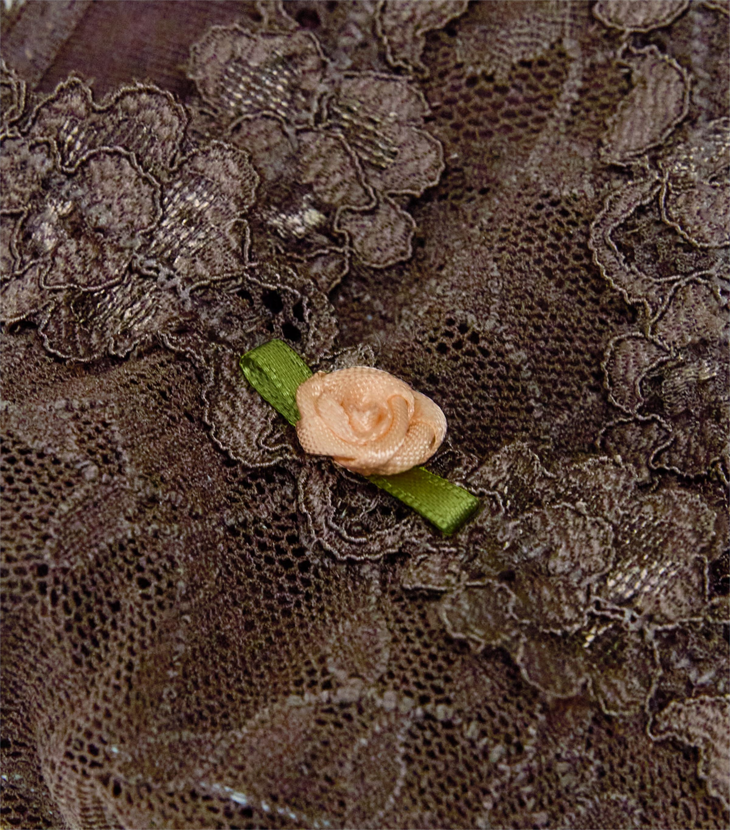 Stretch Lace Dipped Thong ESPRESSO Image 4