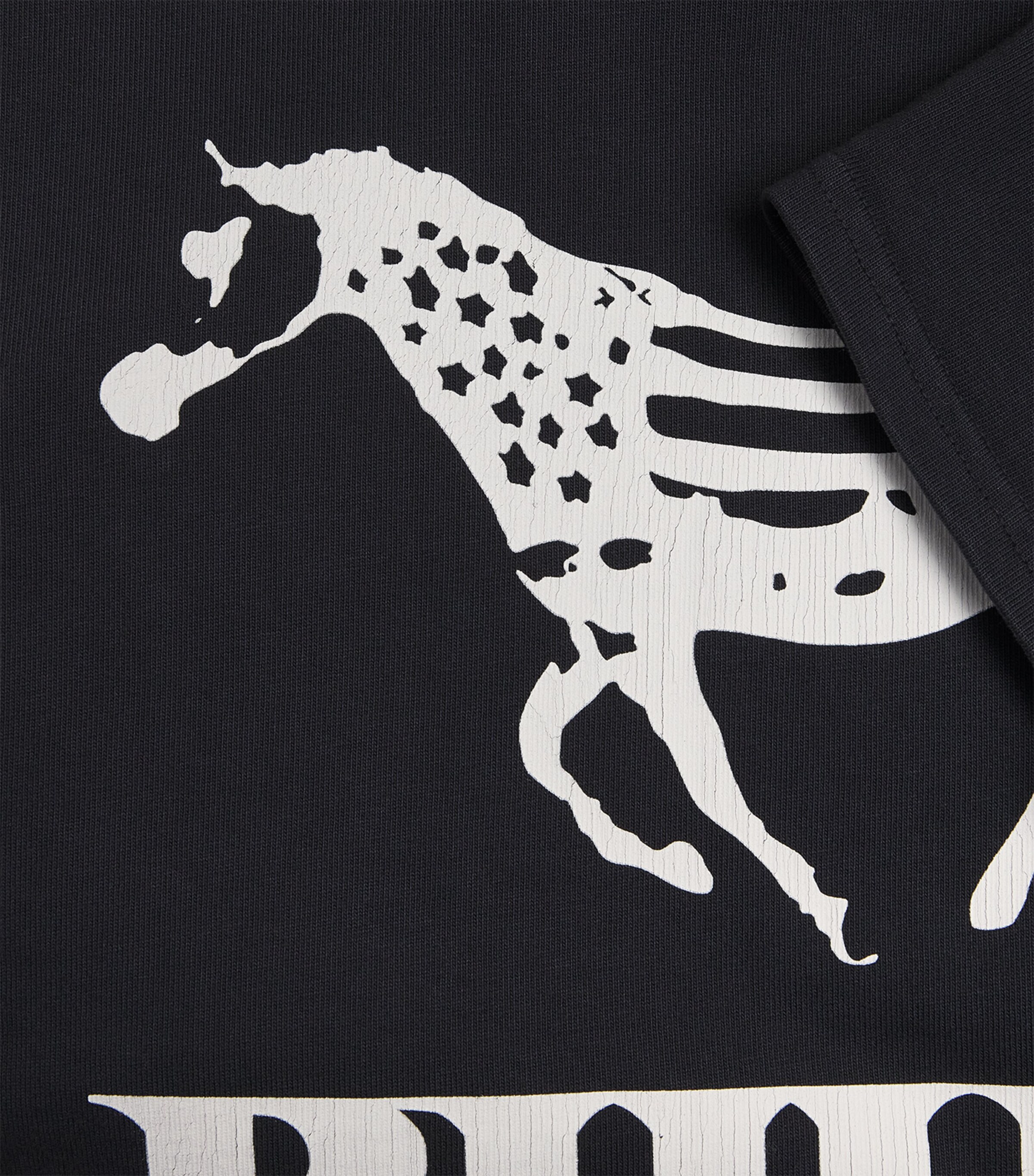 Cotton Dinero T-Shirt 3158 VINTAGE BLK/W Image 5