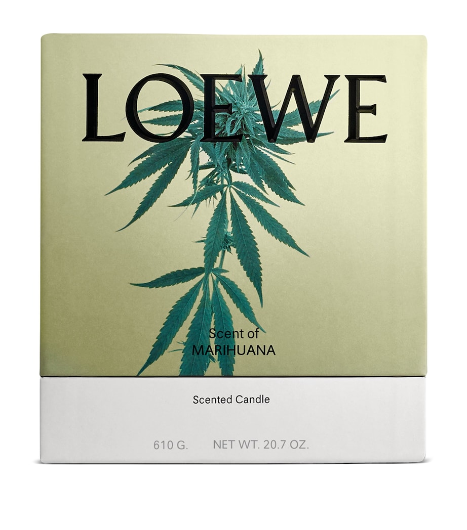 Marihuana Candle (610g) NO COLOUR Image 4