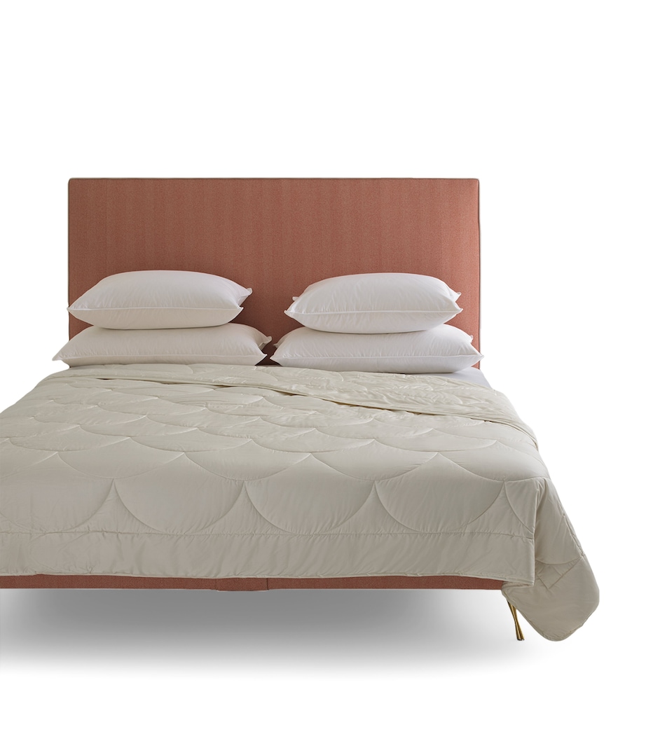 King Silk Duvet (4.5 Tog) CHAMPAGNE Image 1