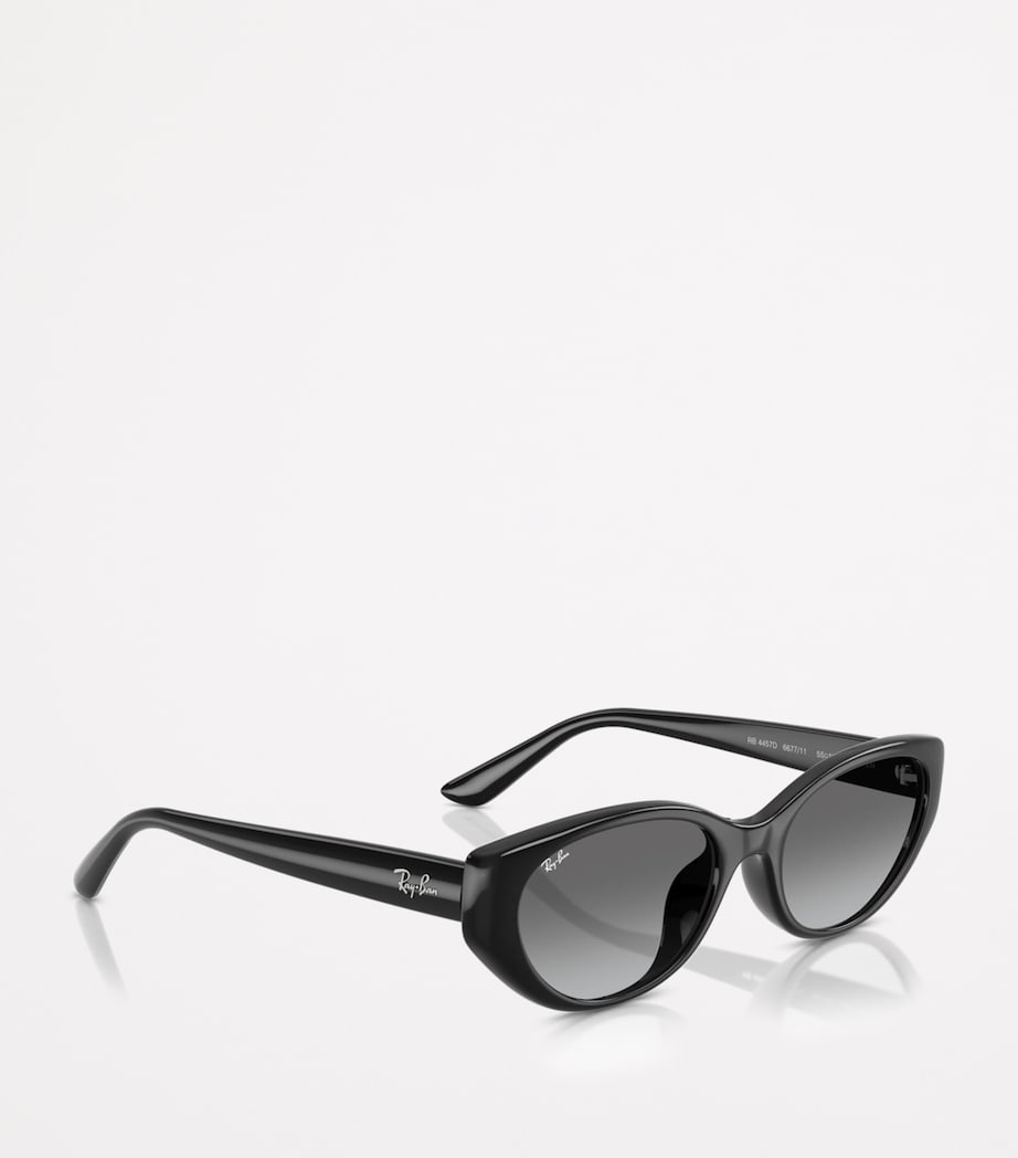 RB4457D Bio-Based Sunglasses 667711 Image 6
