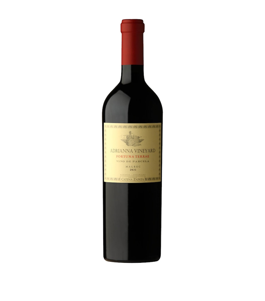 Catena Adrianna Vineyard Fortuna Terrae Malbec 2021 (75cl) – Mendoza, Argentina Image 1