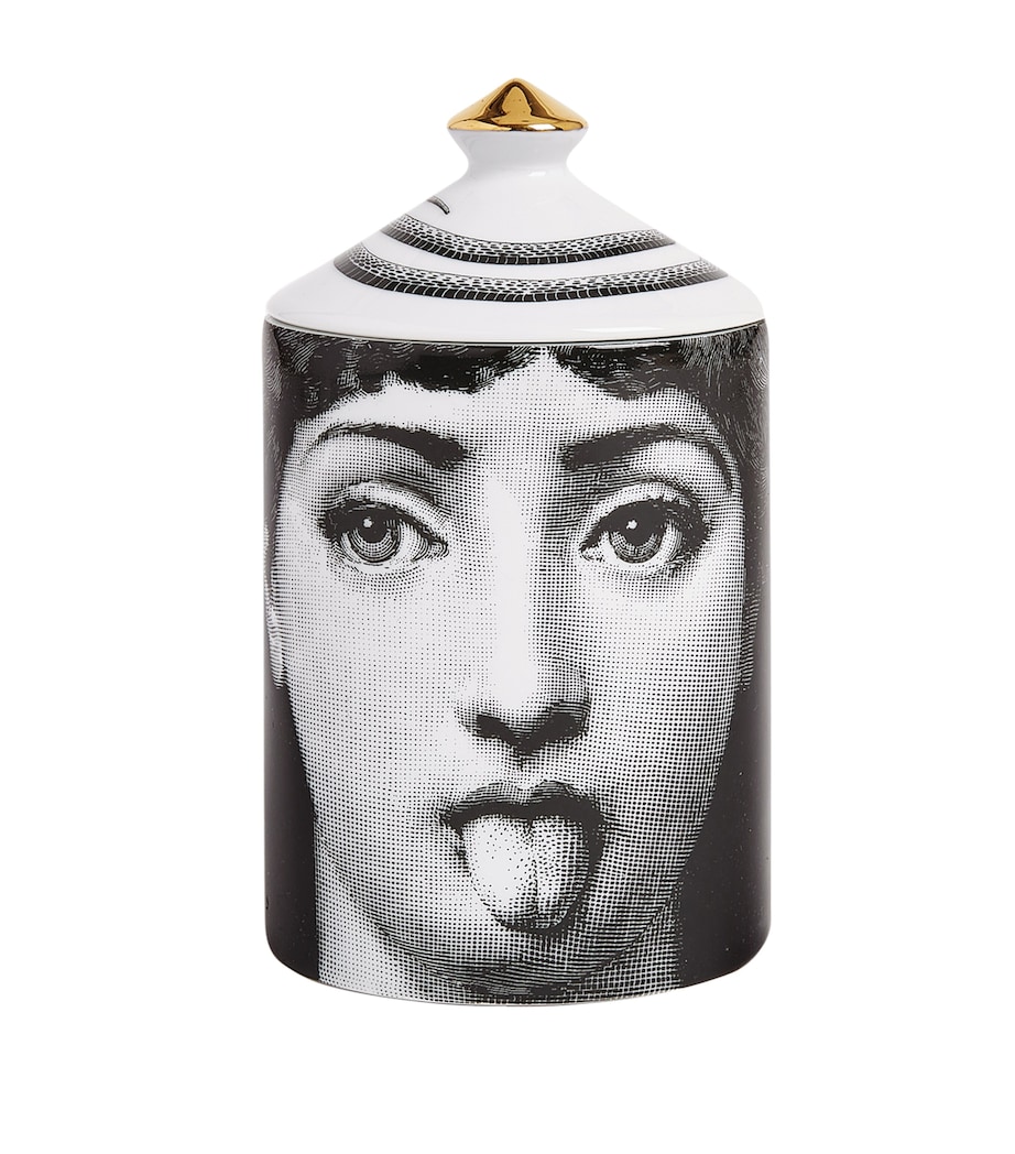 Small Tema e Variazioni Candle (310g) MULTI Image 5