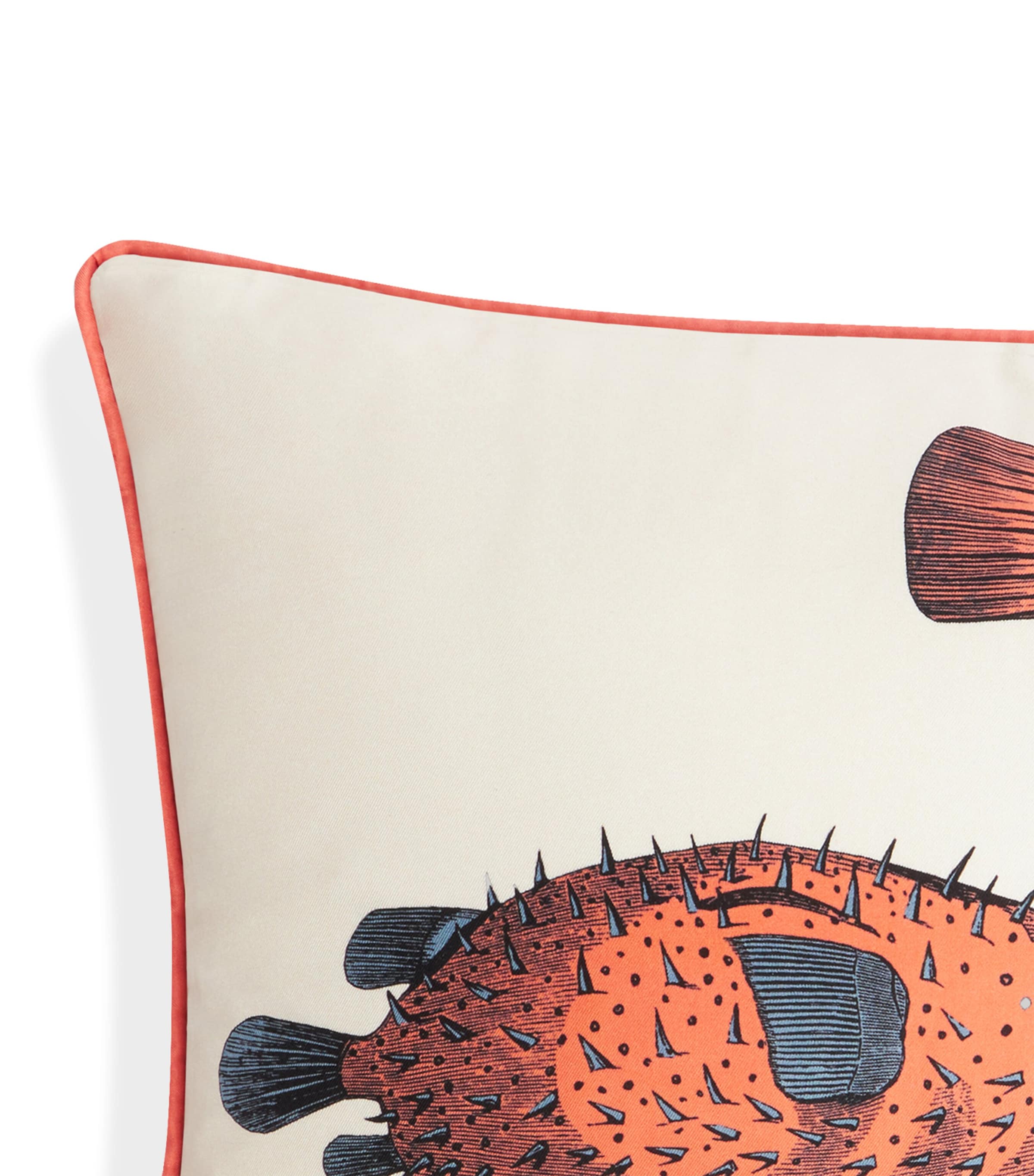 Pesci Cushion (25cm x 50cm) MULTI Image 3