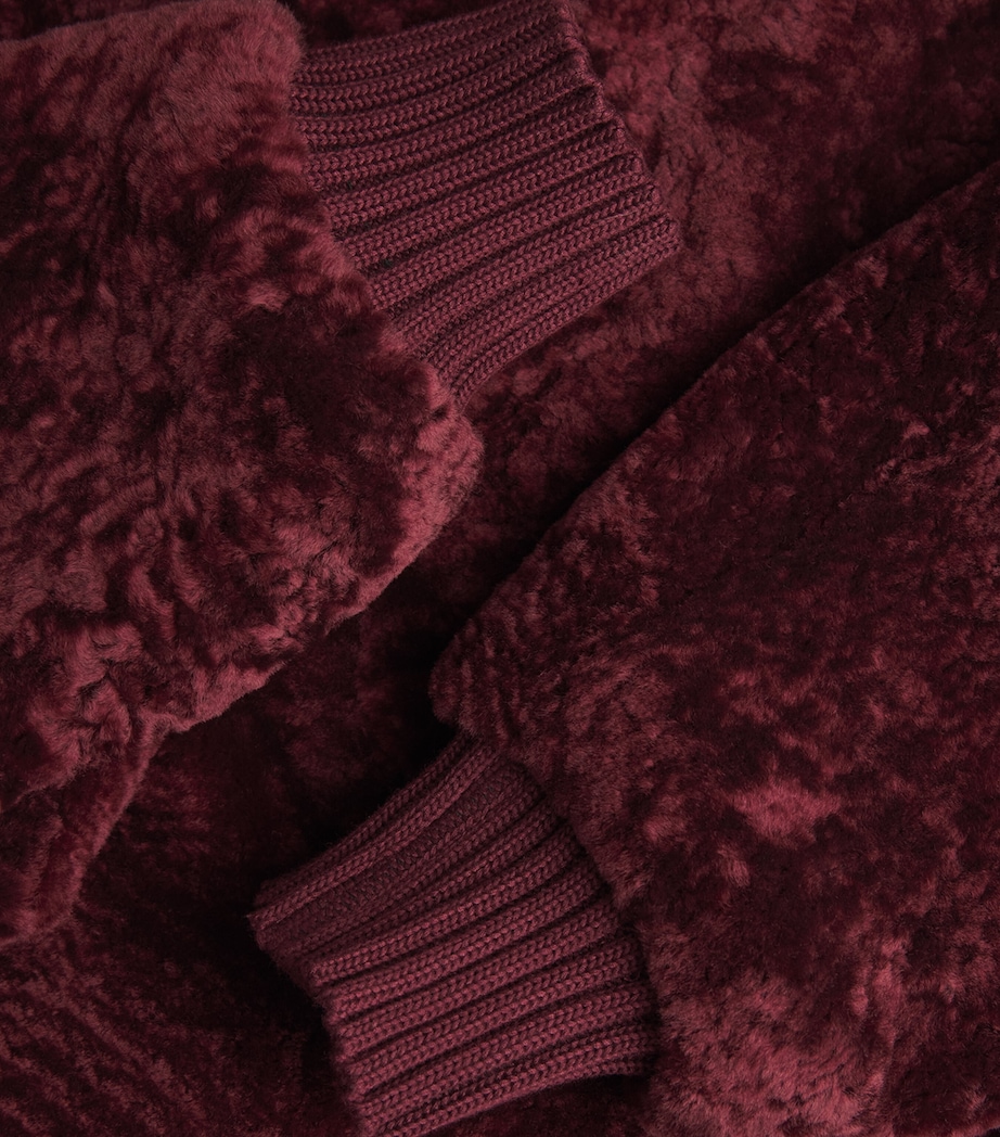 Shearling Alpes Bomber Jacket CHERRY Image 5