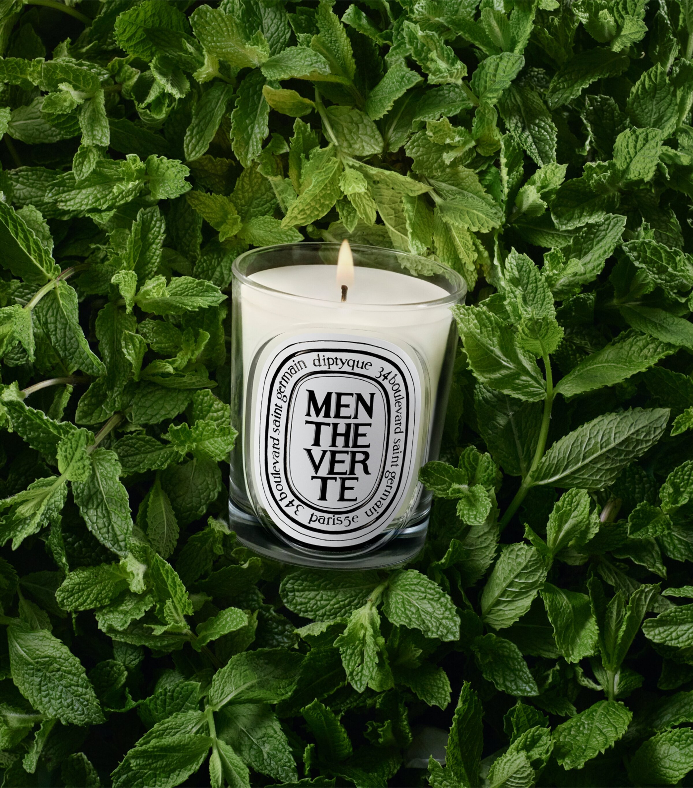 Diptyque Menthe Verte Candle (190g) Image 3