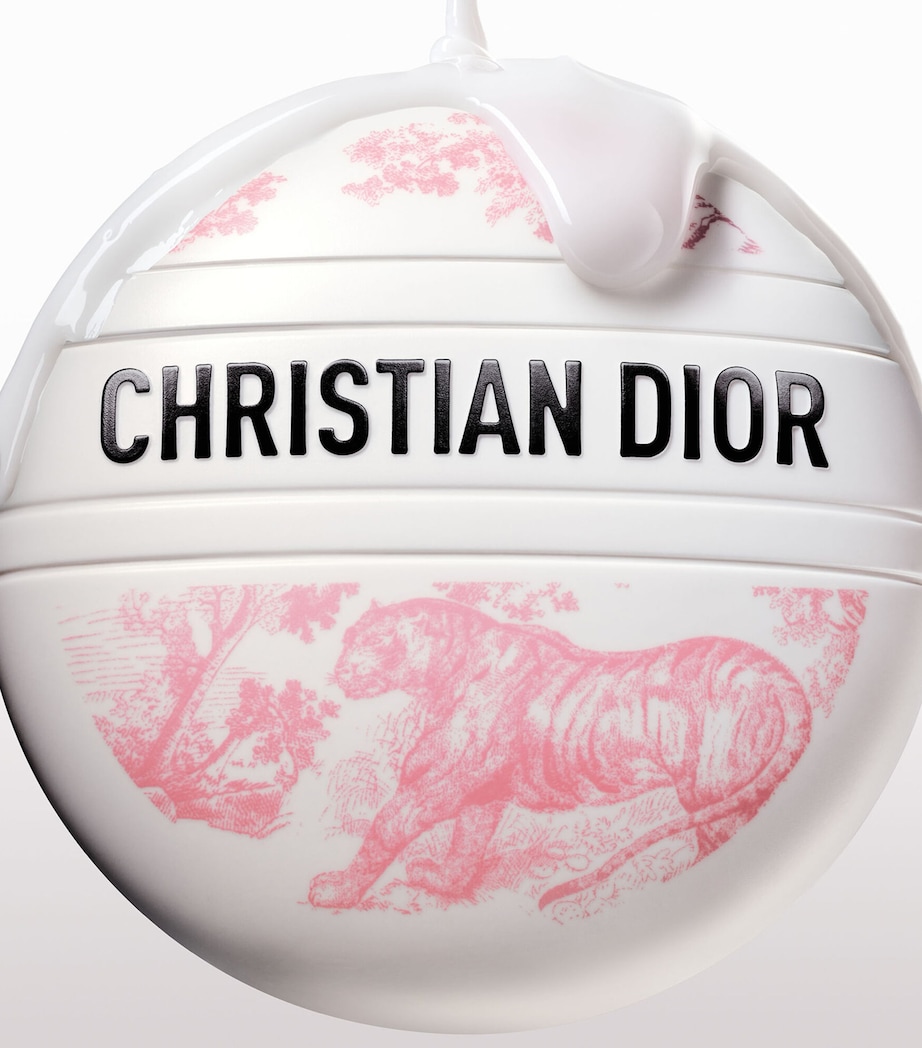 DIOR Dior Le Baume - Toile de Jouy Limited Edition Image 5