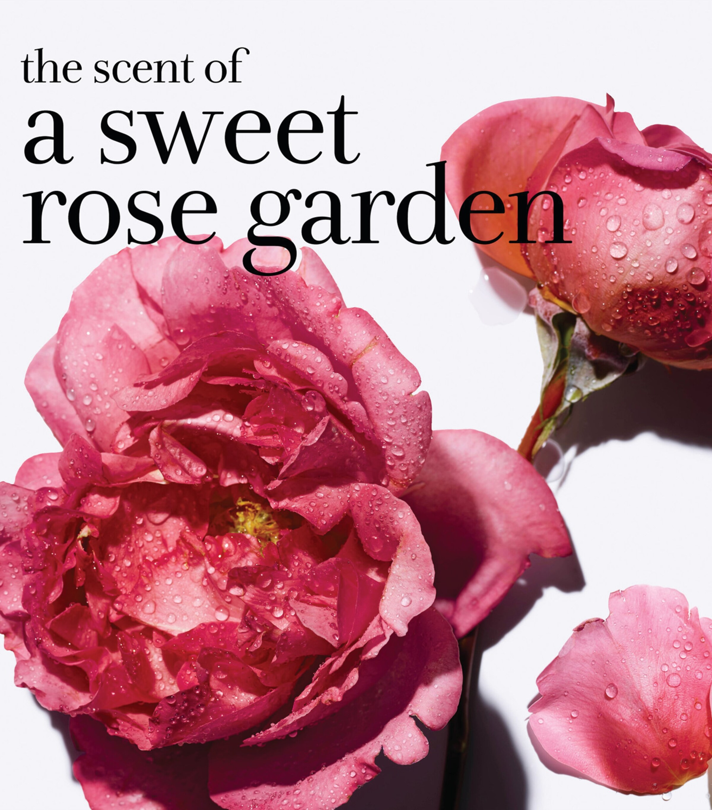 Rose Hydration Face Cream (15ml) NO COLOUR Image 9