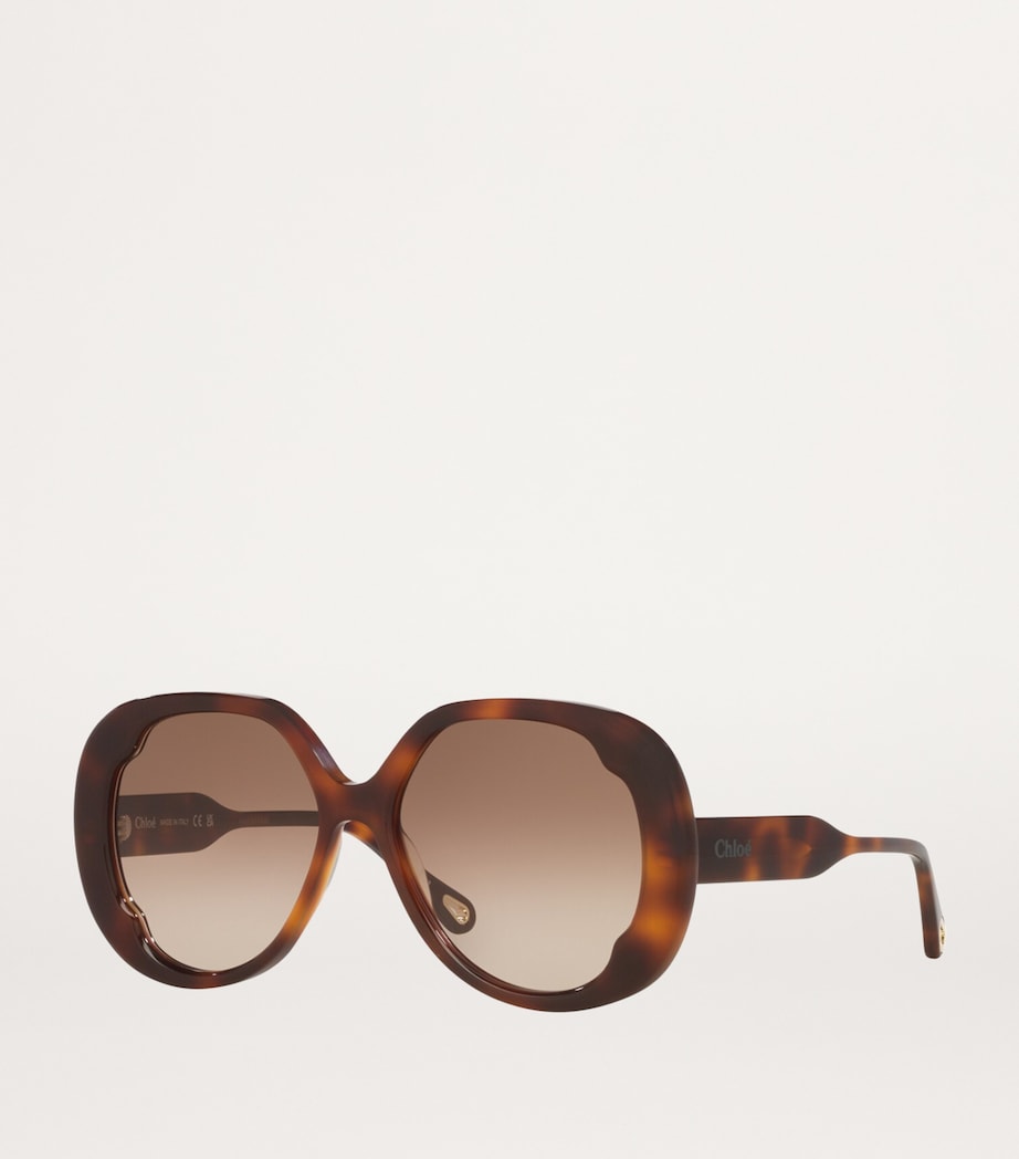 Oversized Round Sunglasses 4402D1 Image 2