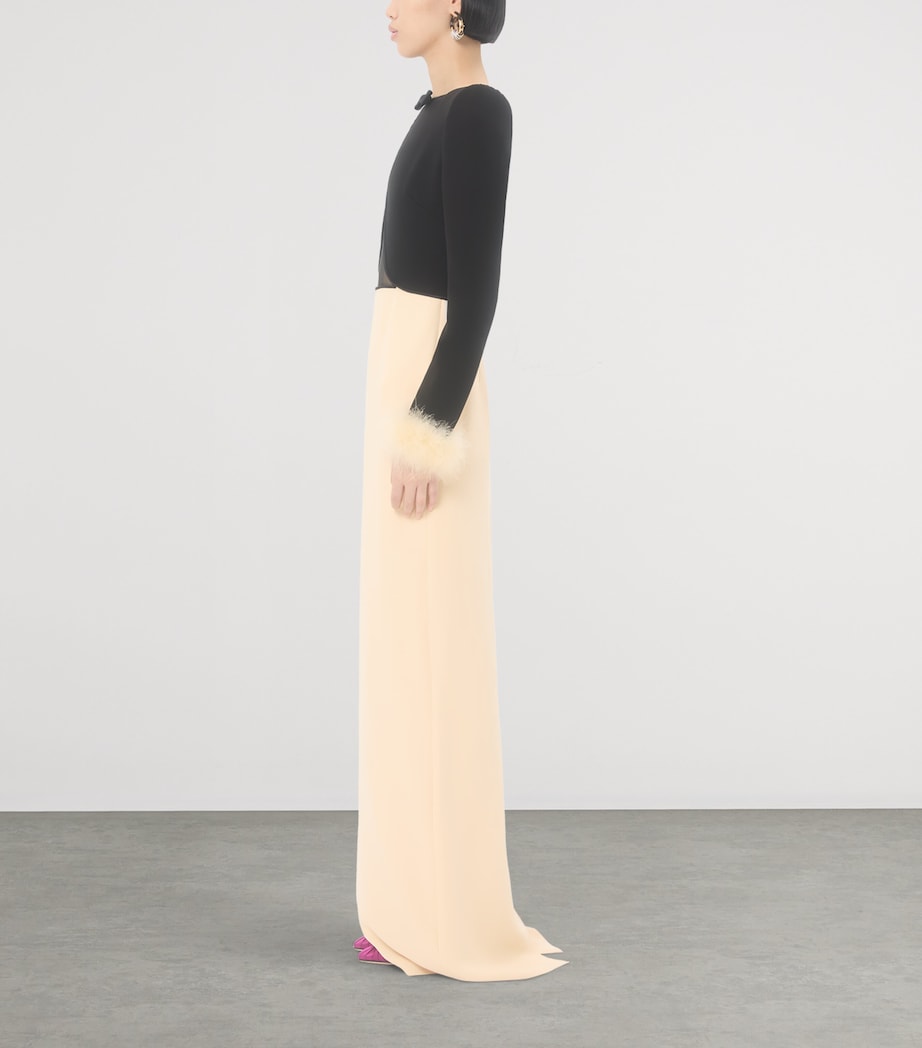 Silk Feather-Trim Gown TB1 Image 3