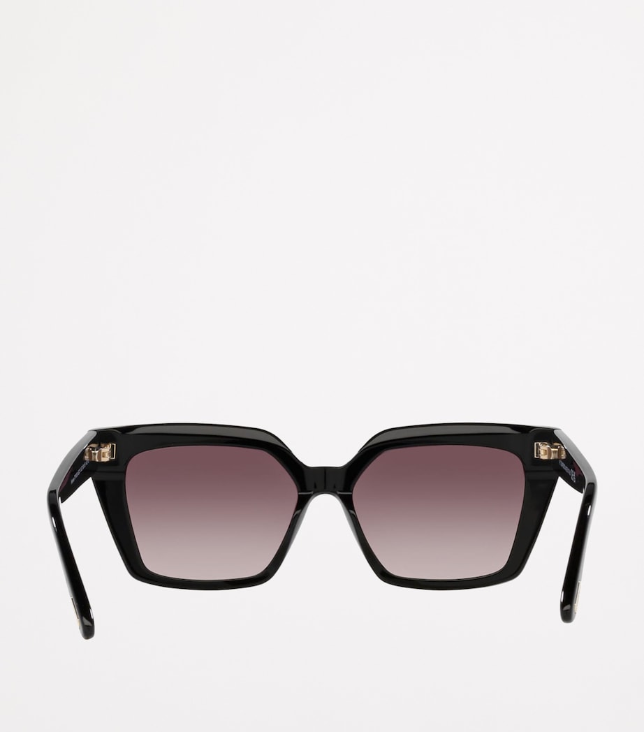 Acetate Winona Cat Eye Sunglasses 1330S6 Image 4