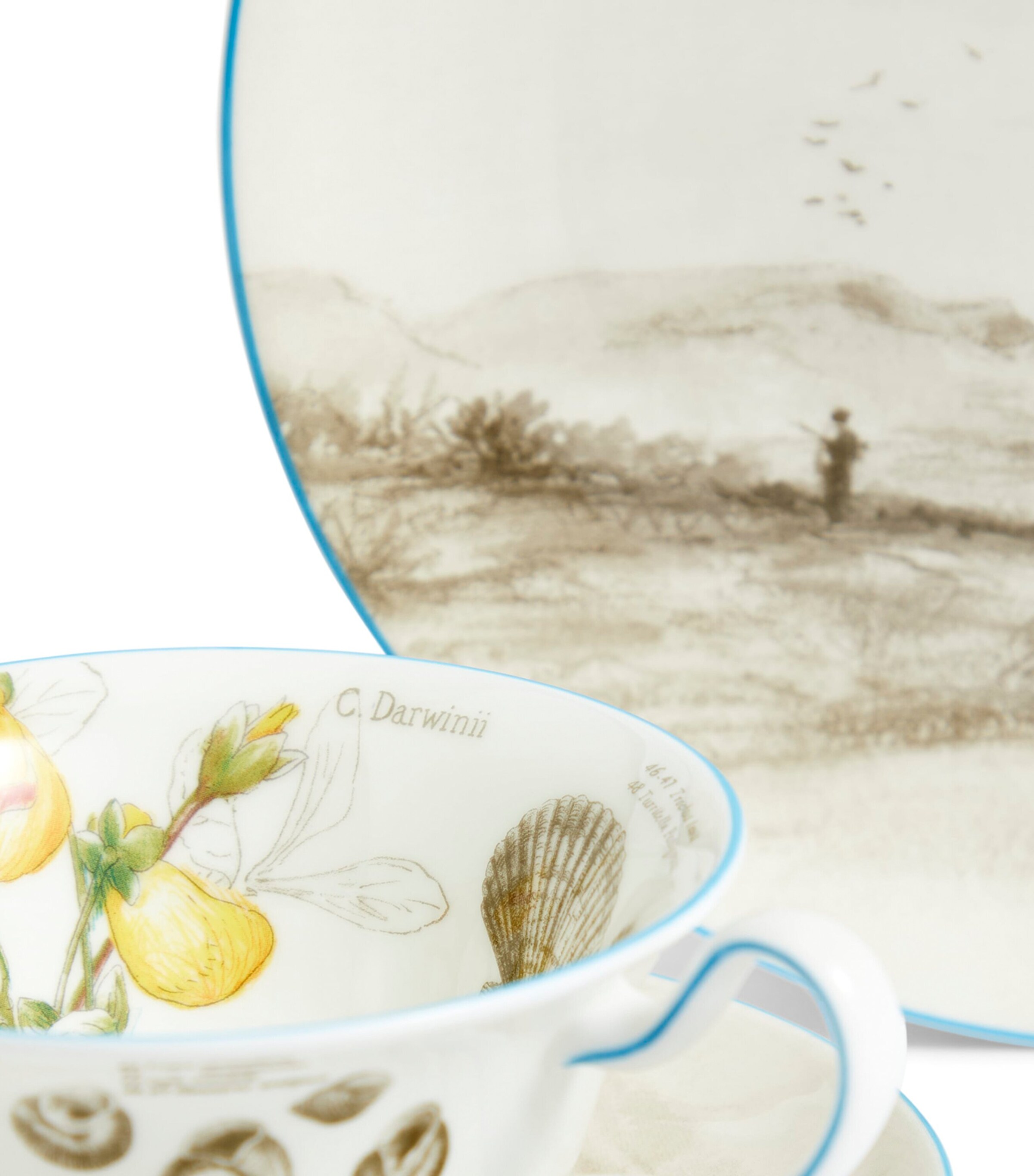 Voyage of the Beagle Brazil Plate, Teacup and Saucer Set MULTI Image 7