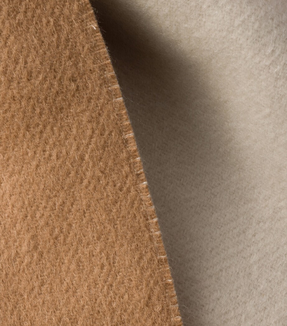 Cashmere Logo Scarf F045Y Image 2