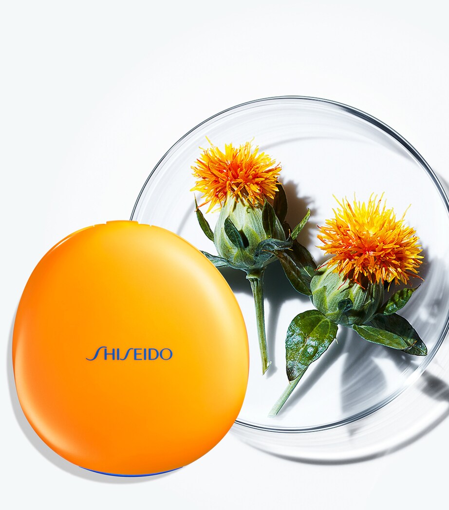 Tanning Compact Foundation SPF10 Refill BR Image 5