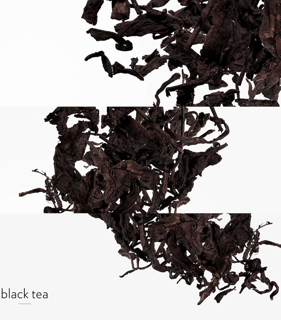 Eau de Citron Noir Eau de Cologne Refill (50ml) NO COLOUR Image 4