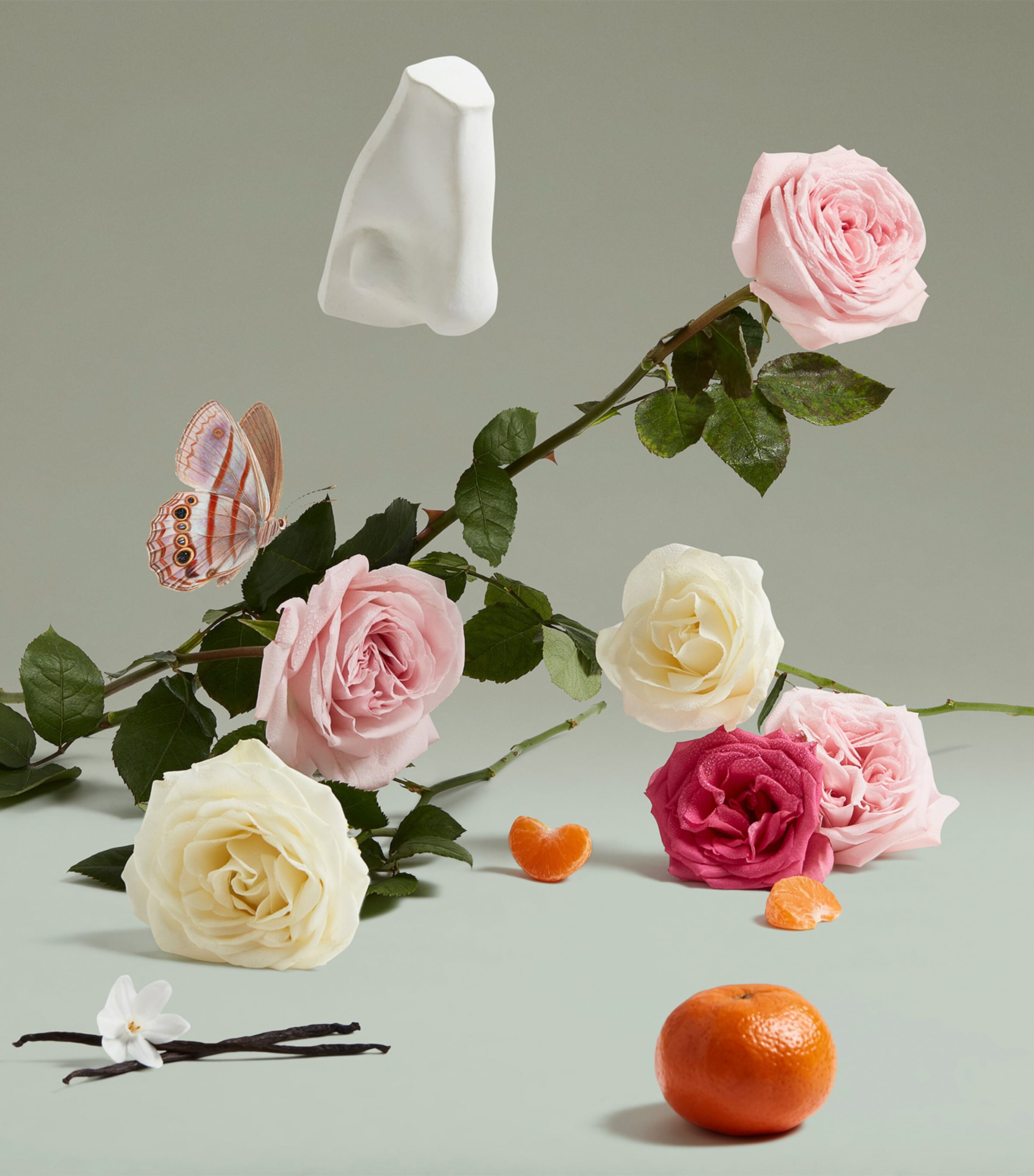 The Coveted Duchess Rose Eau de Parfum (75ml) NO COLOUR Image 4