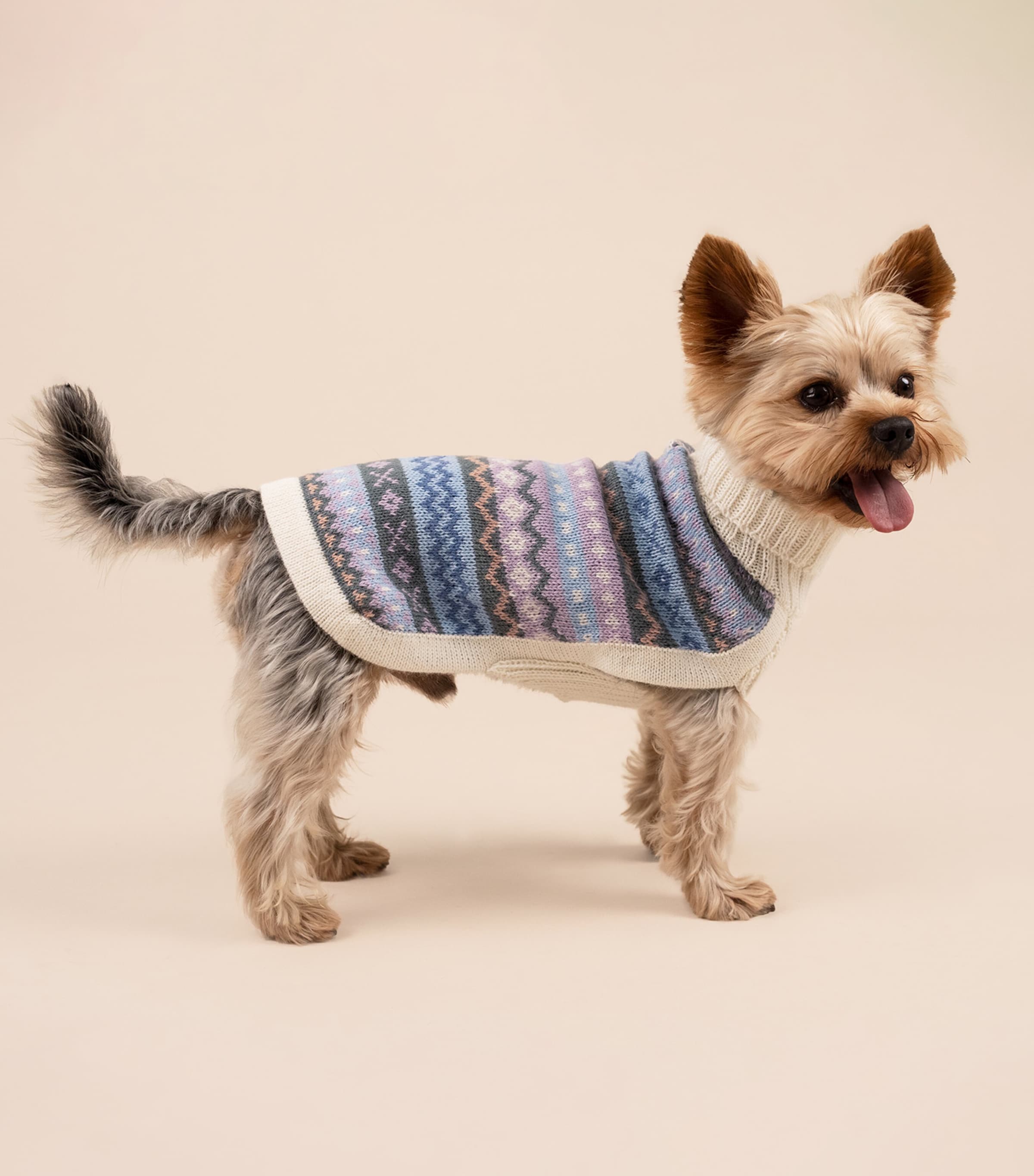 ALQO WASI Alpaca-Blend Cloudform Dog Sweater (Large) Cloudform Image 9
