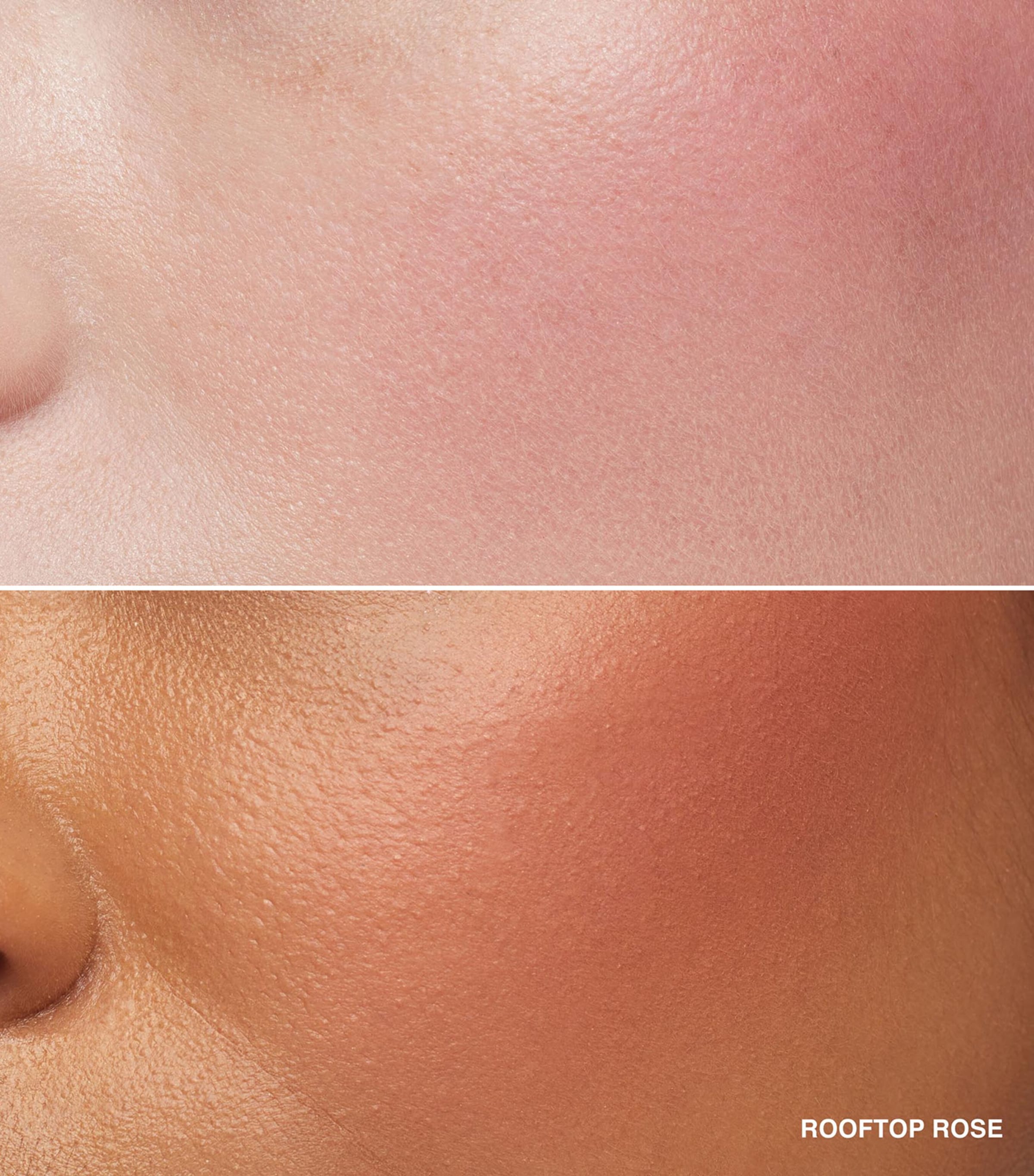 Blush ROOFTOP ROSE Image 3