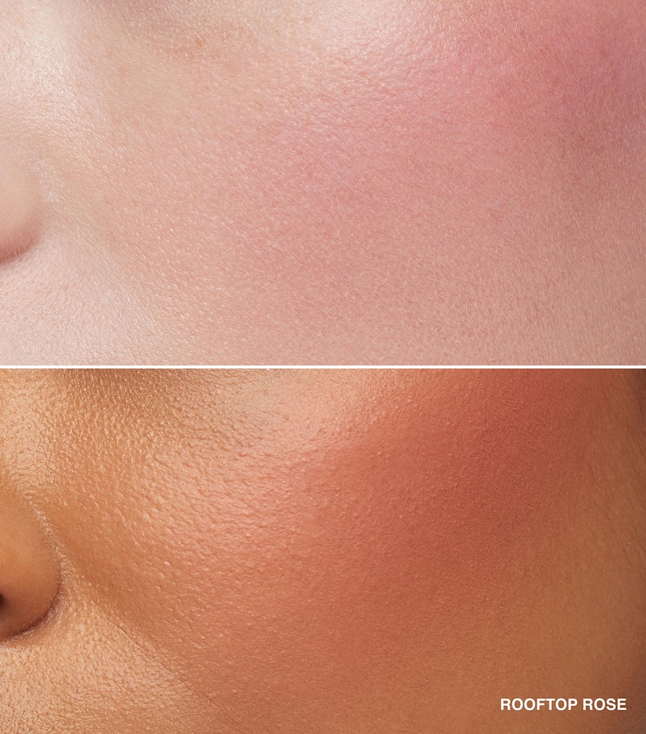 Blush ROOFTOP ROSE Image 3