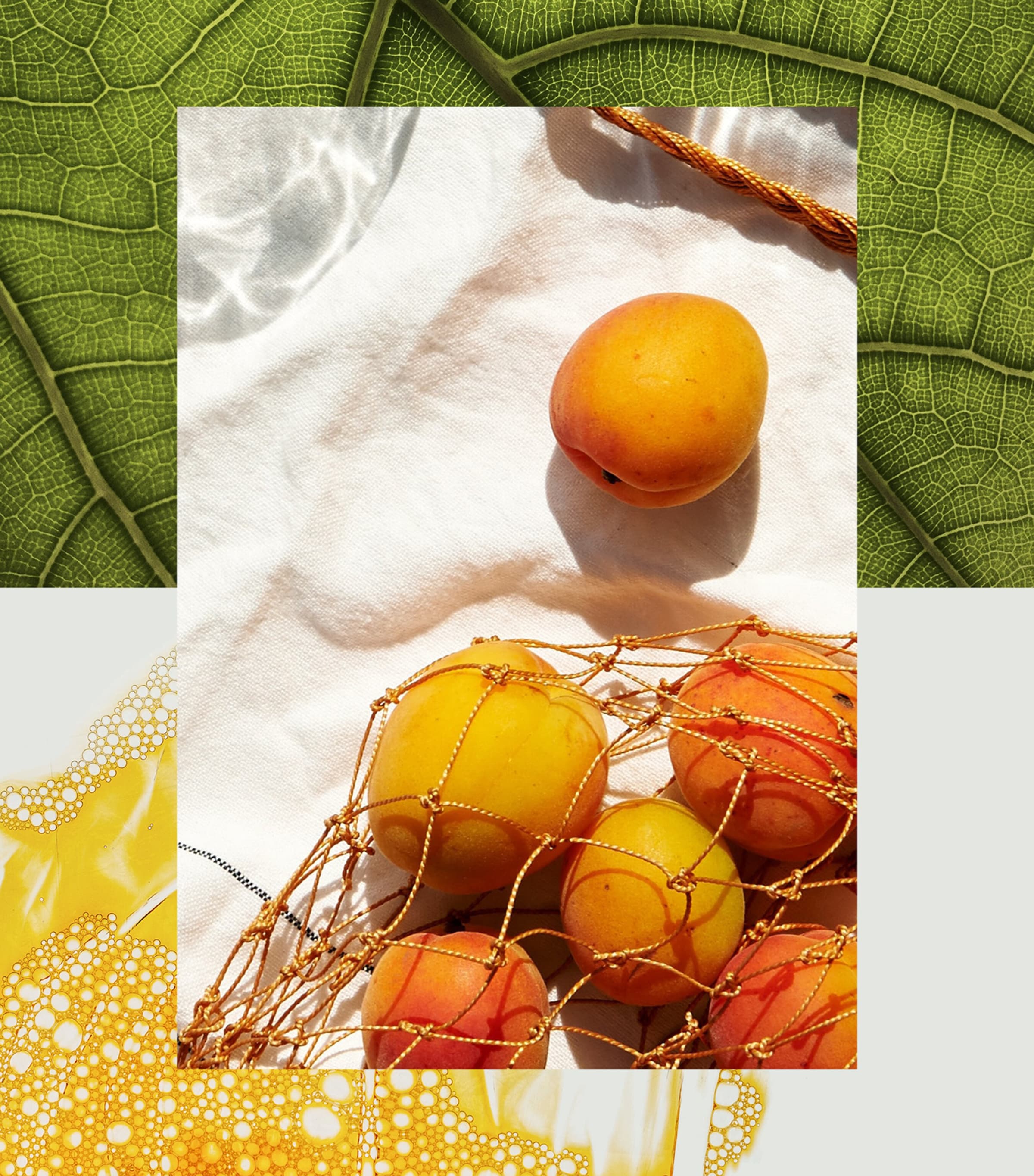 Utopia Parfum (50Ml) NO COLOUR Image 2