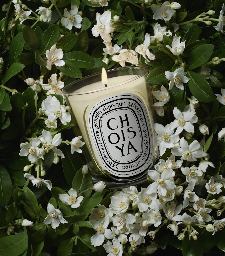 Diptyque Choisya Candle (190g) Image 3
