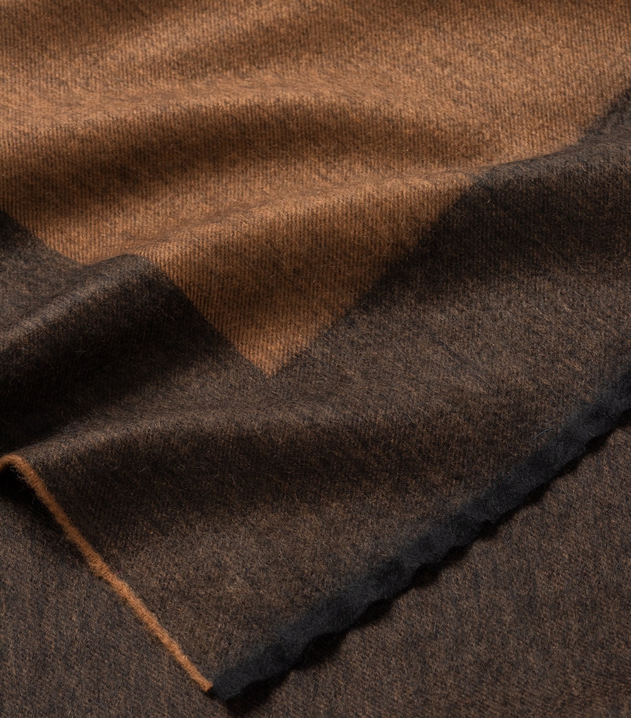 Cashmere Arran Border Throw (150cm x 200cm) VICUNA Image 6