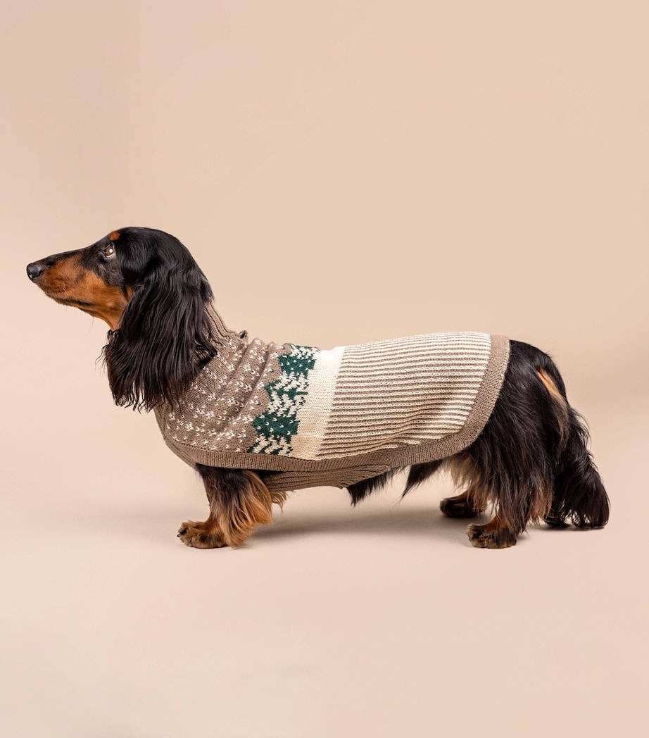 ALQO WASI Alpaca-Blend Frosted Grove Dog Sweater (X-Small) Frosted Grove Image 3