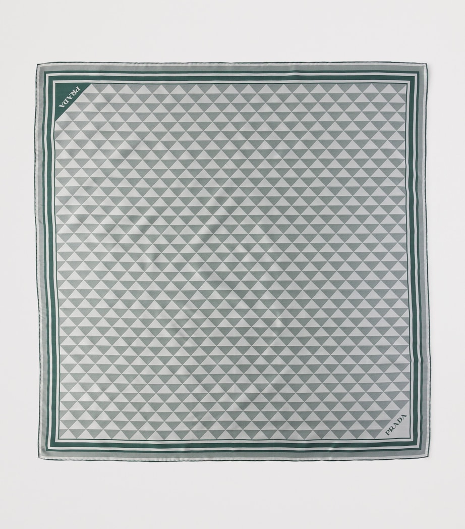 Silk Triangle Scarf F077U Image 3